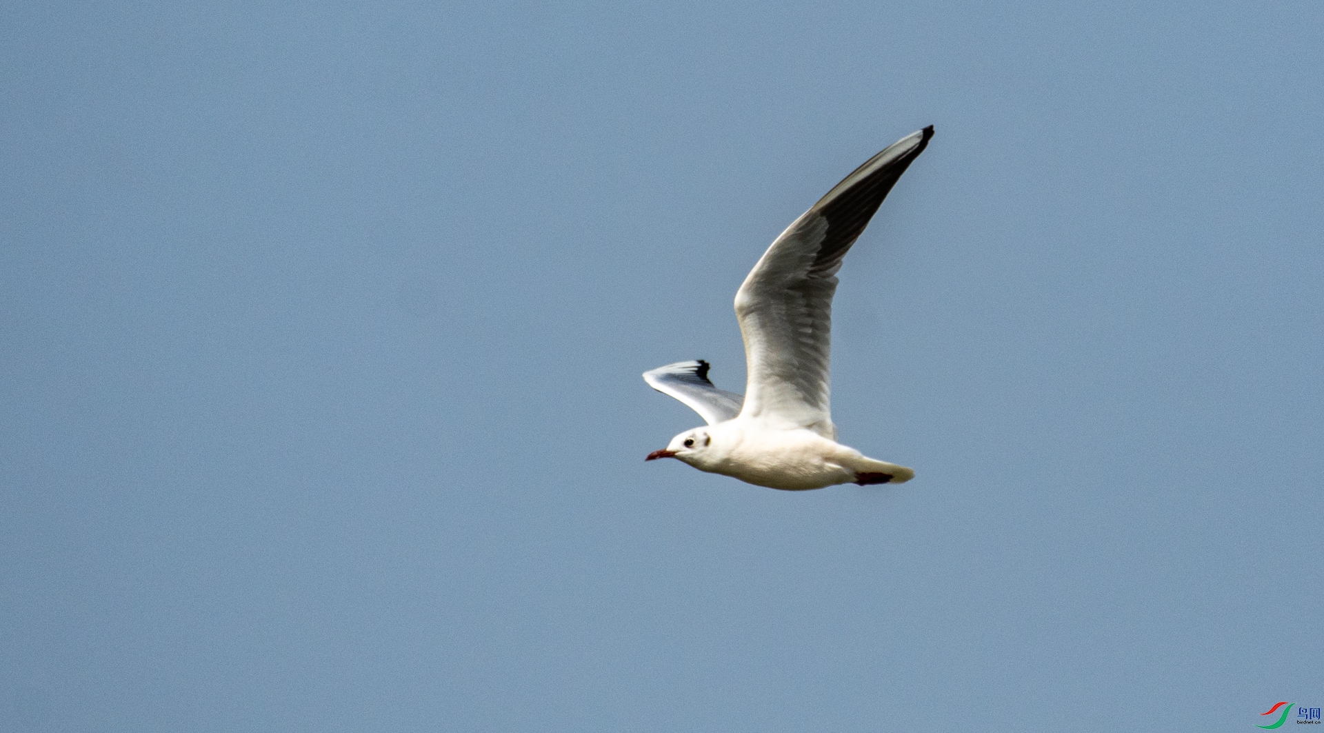 DSC_8088.jpg