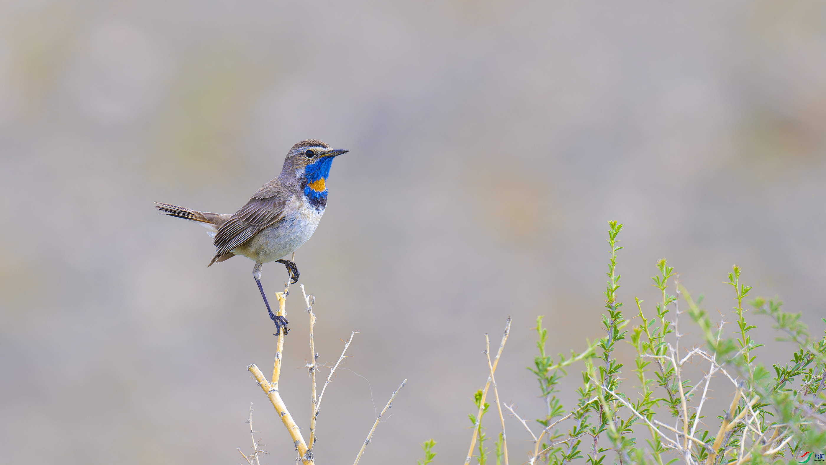DSC_7434_DxO.jpg