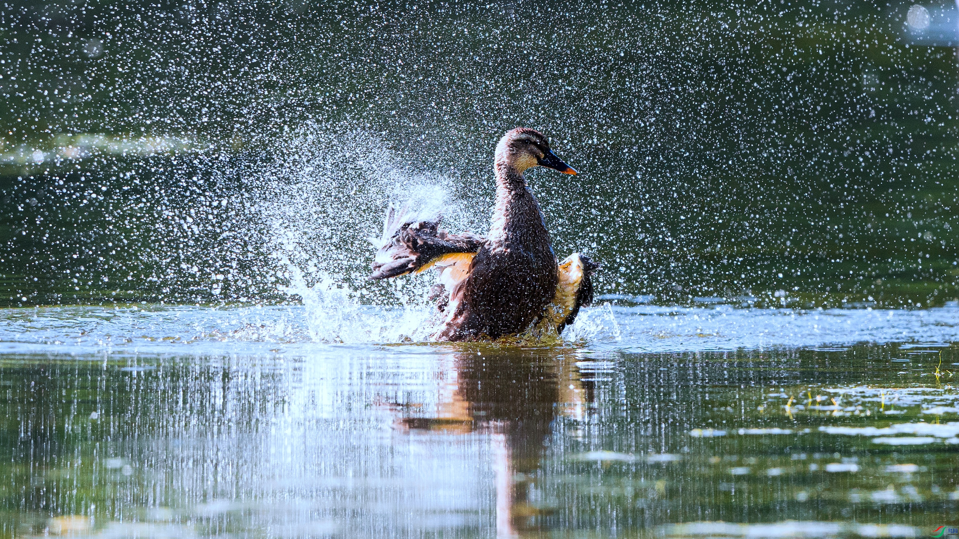 7X5A1350 ���� - ����.jpg