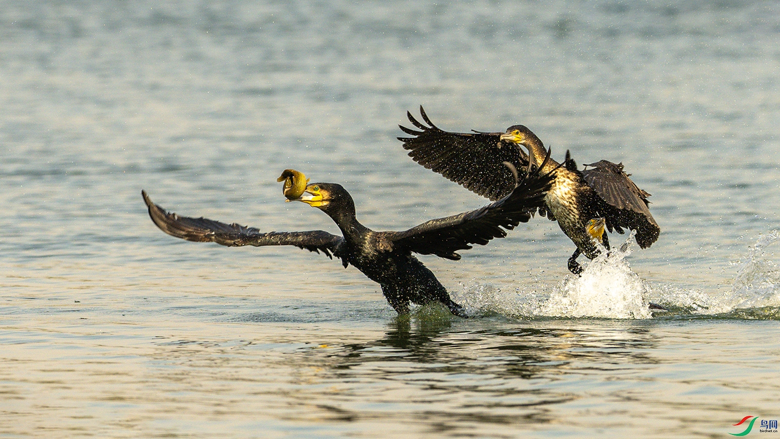 1021 ���� 2.jpg