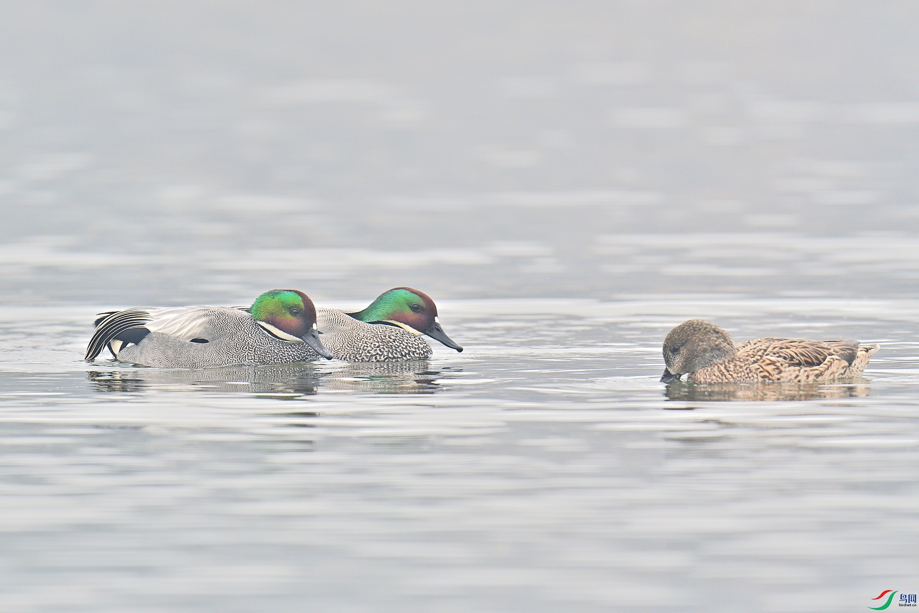 DSC_6051.JPG