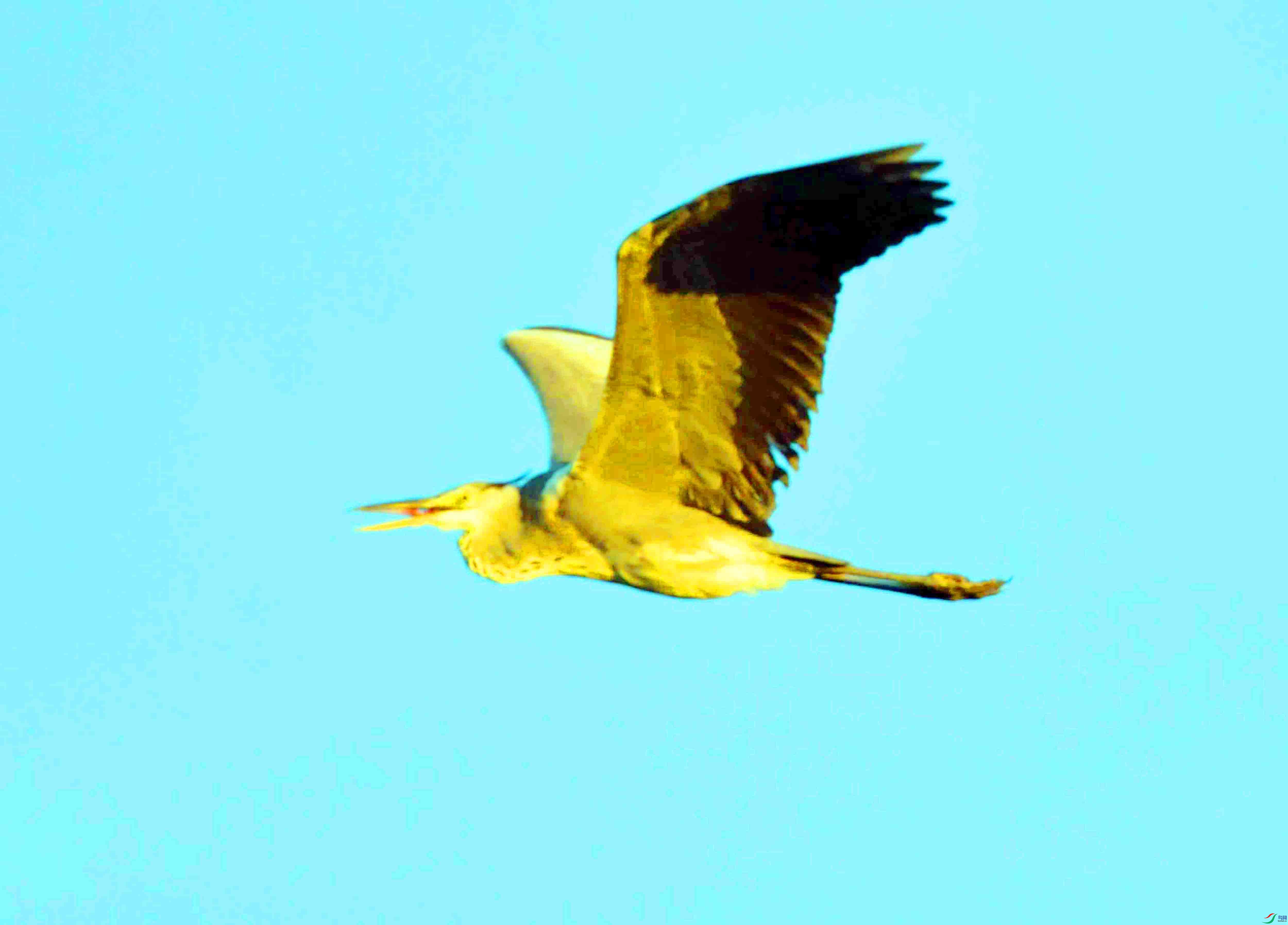 DSC_2538.JPG