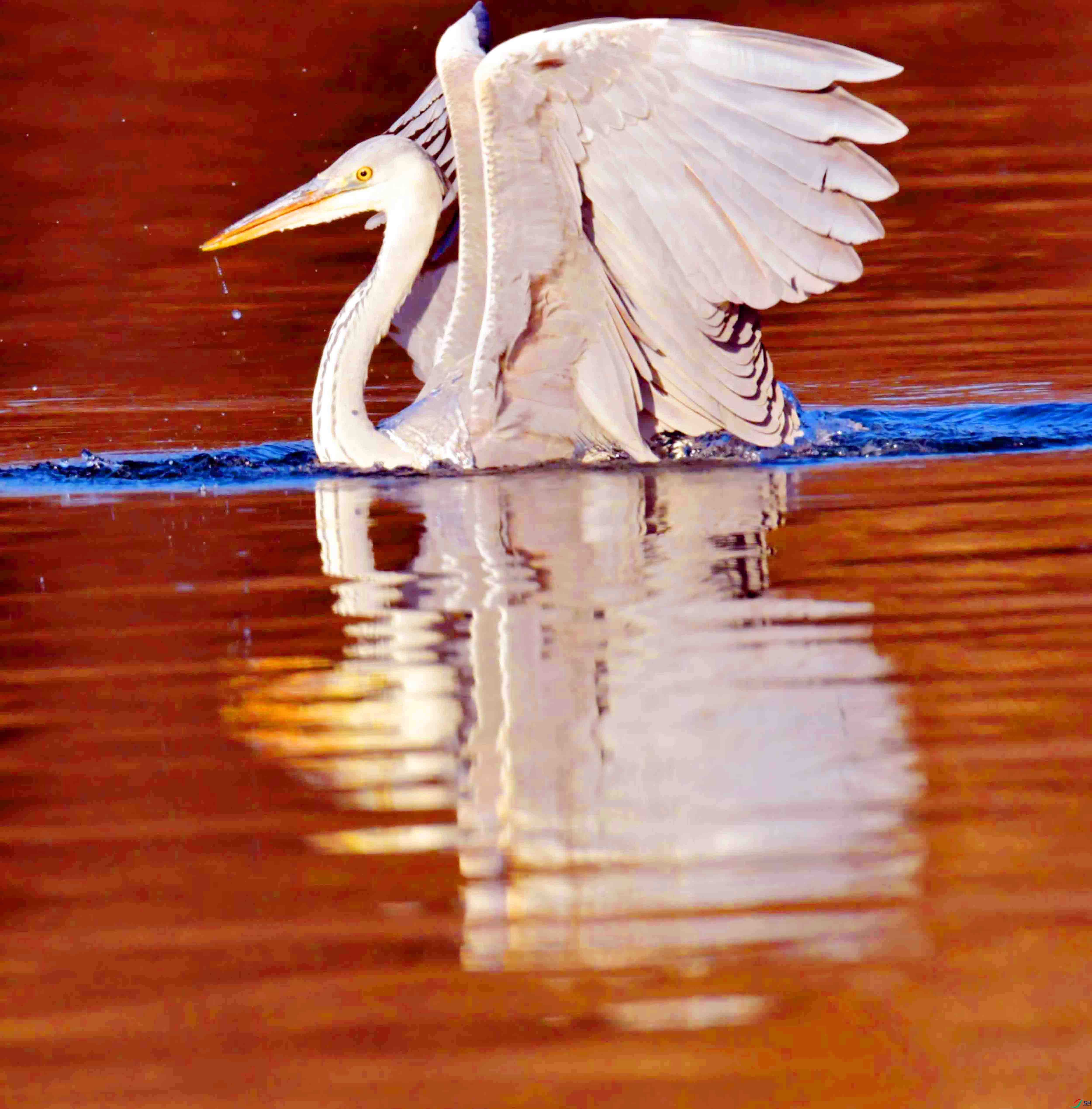 DSC_1869.JPG