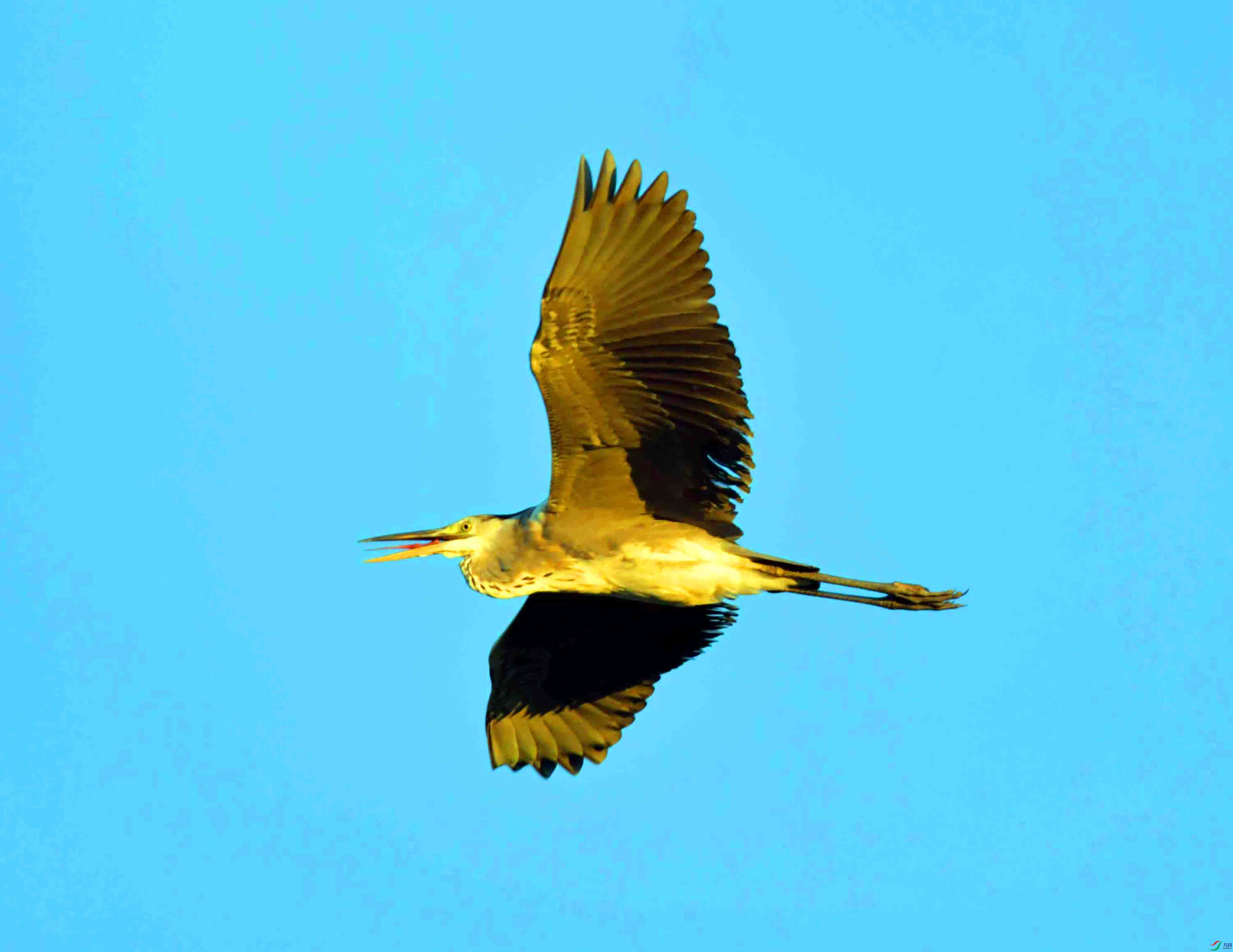 DSC_2545.JPG