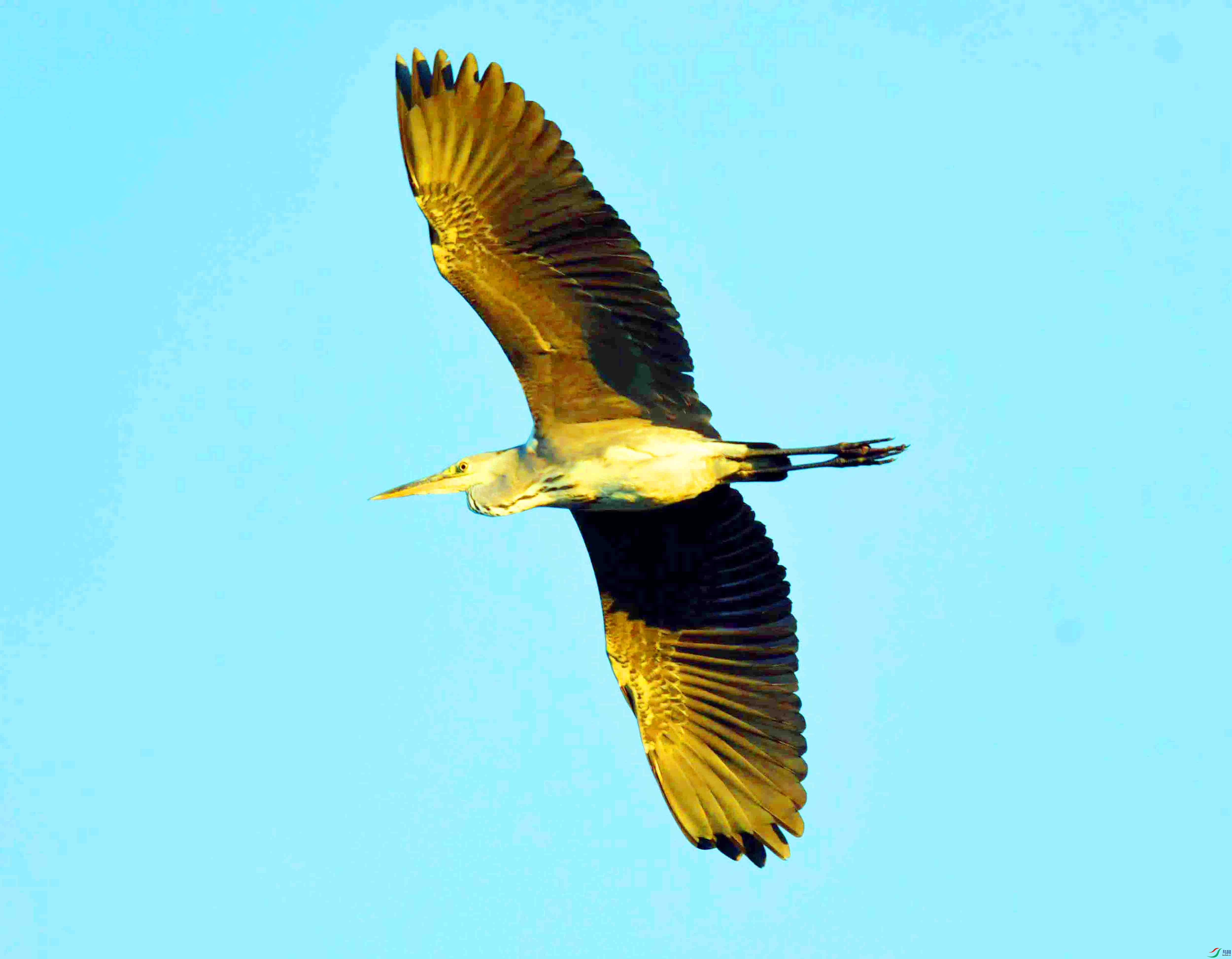 DSC_2548.JPG