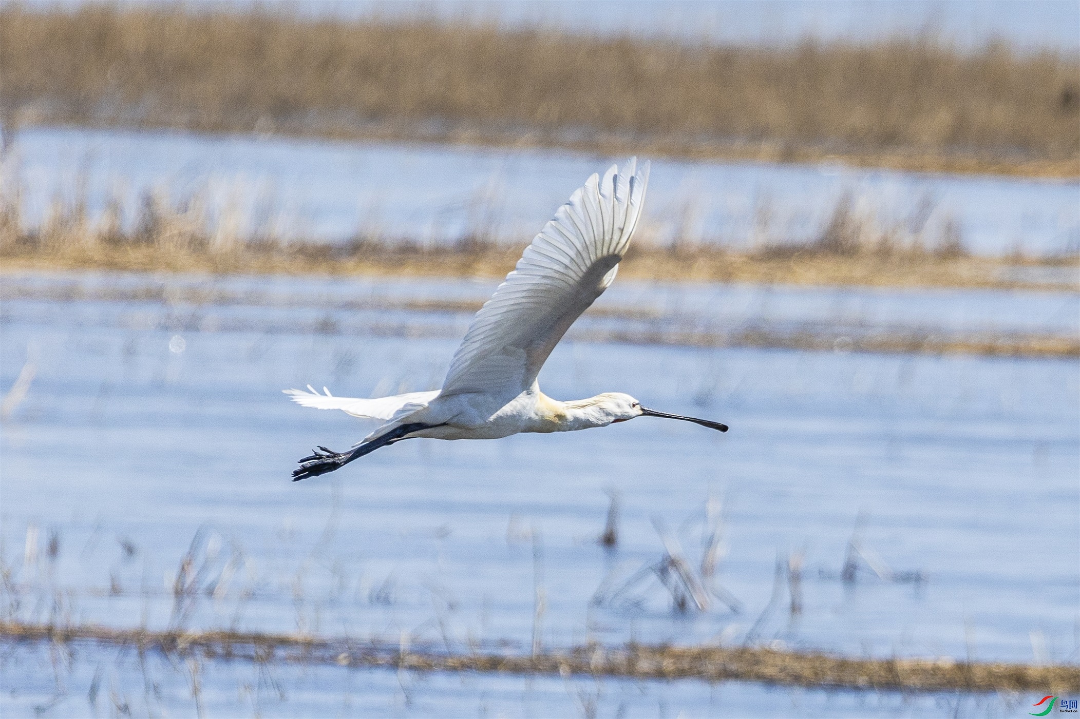 1K3A9458 ����1.jpg