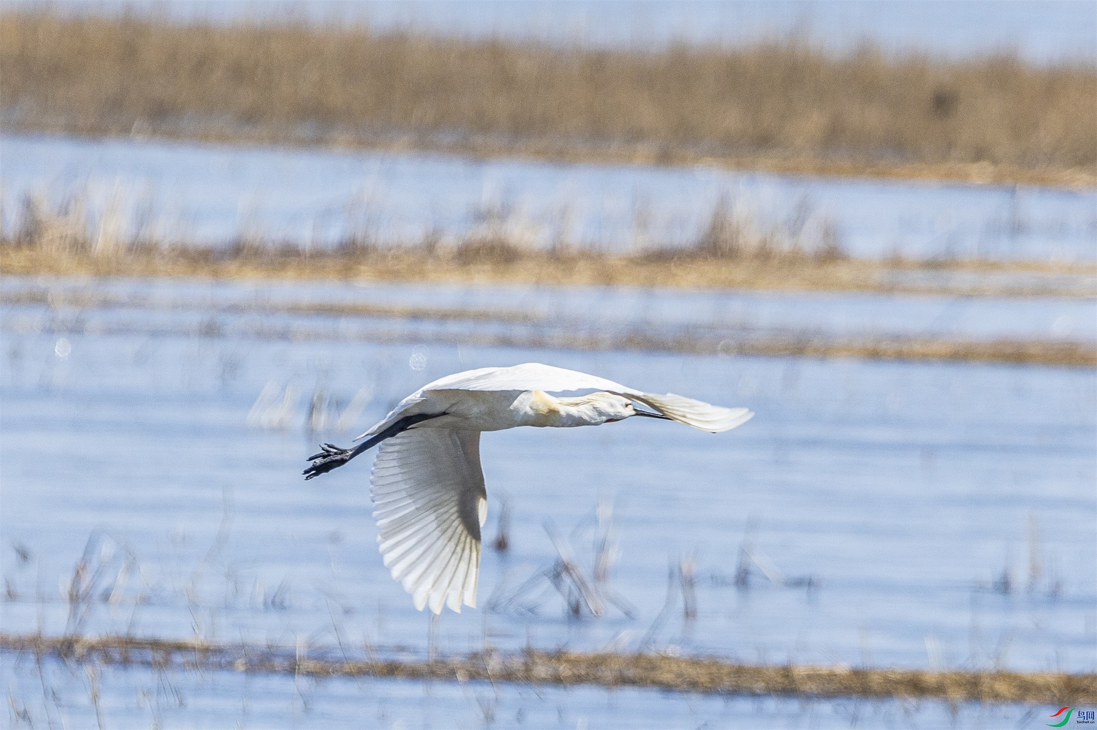 1K3A9459 ����1.jpg