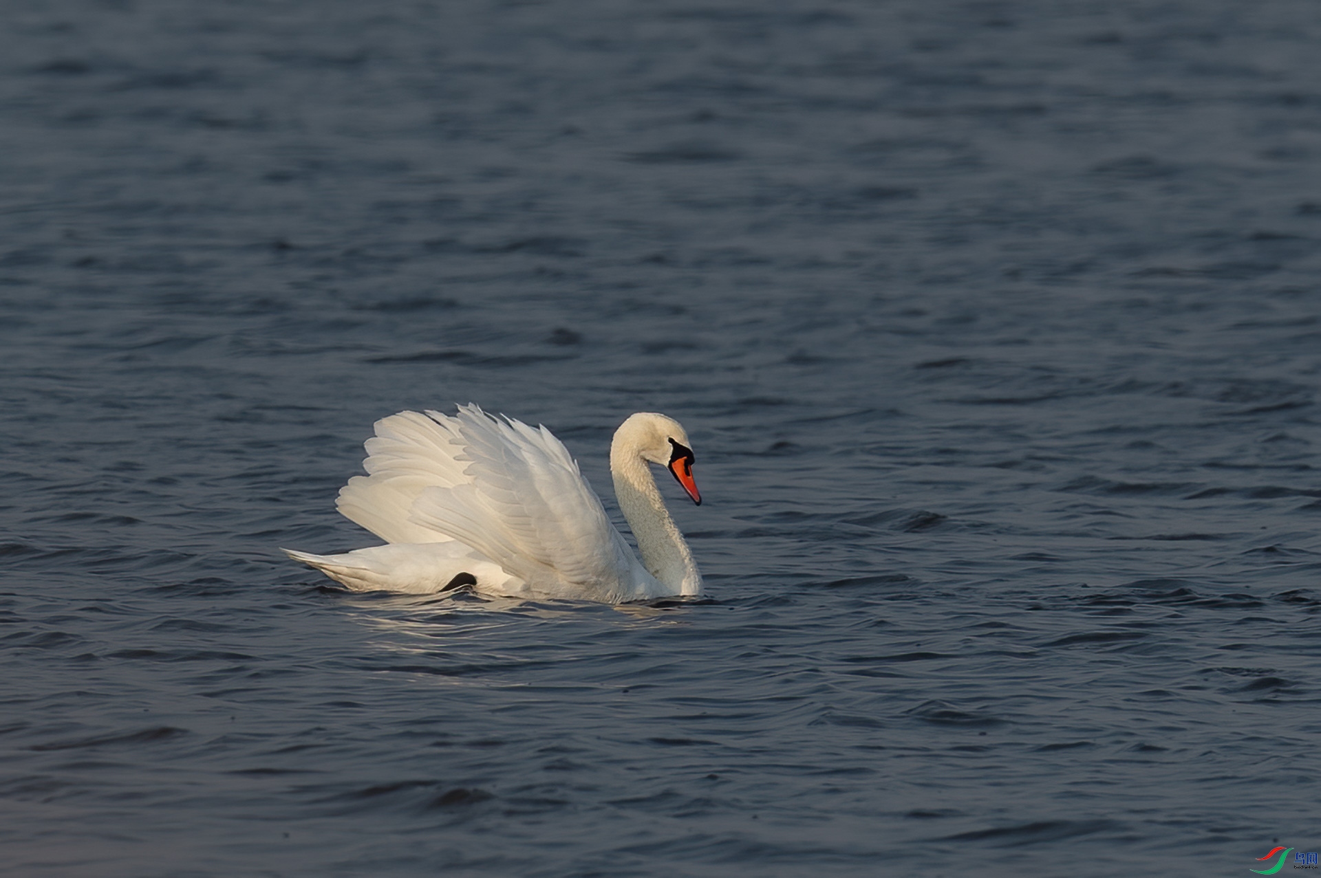 sen2016 12-6-28-�༭-3.jpg