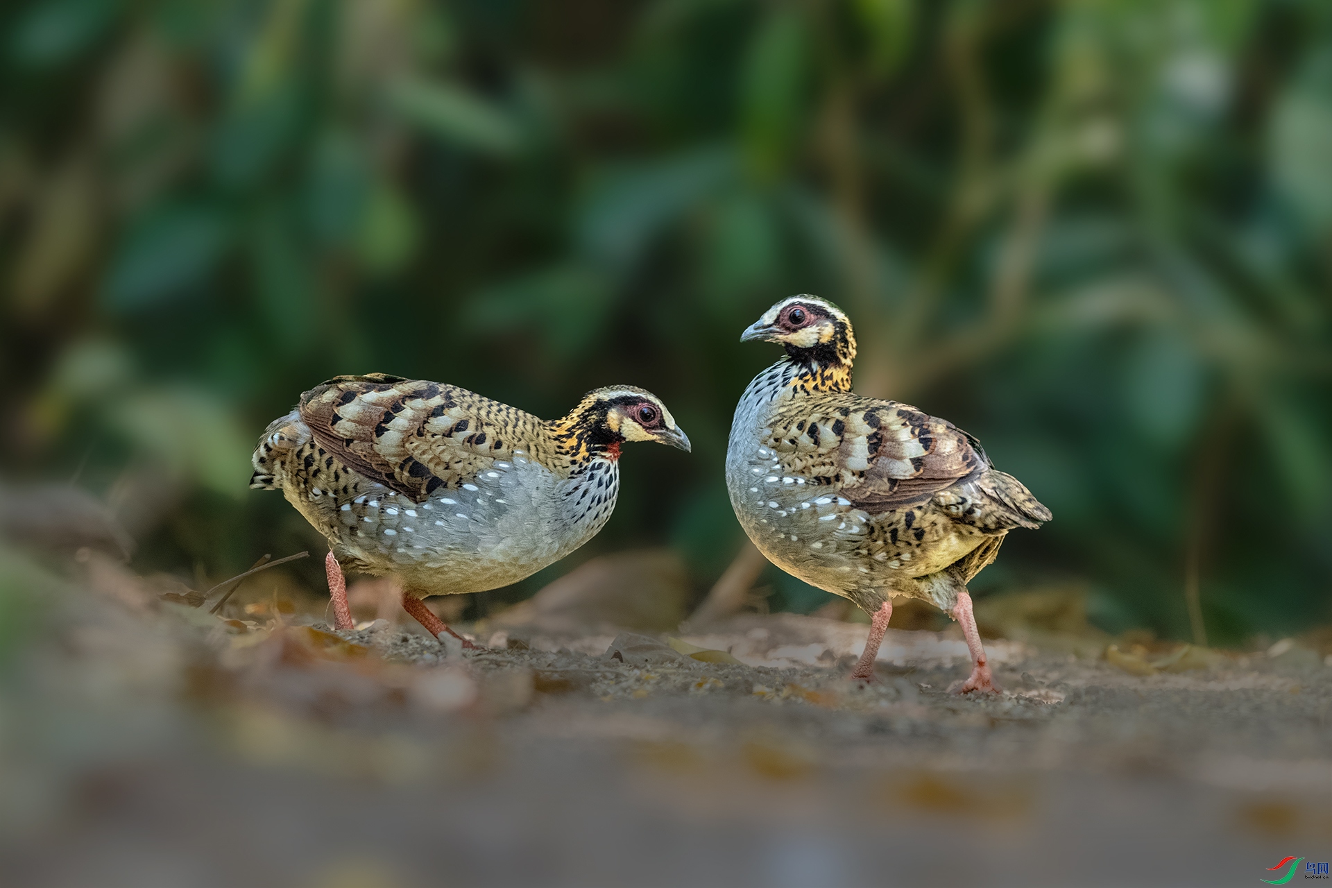 _DSC1588 ����.jpg