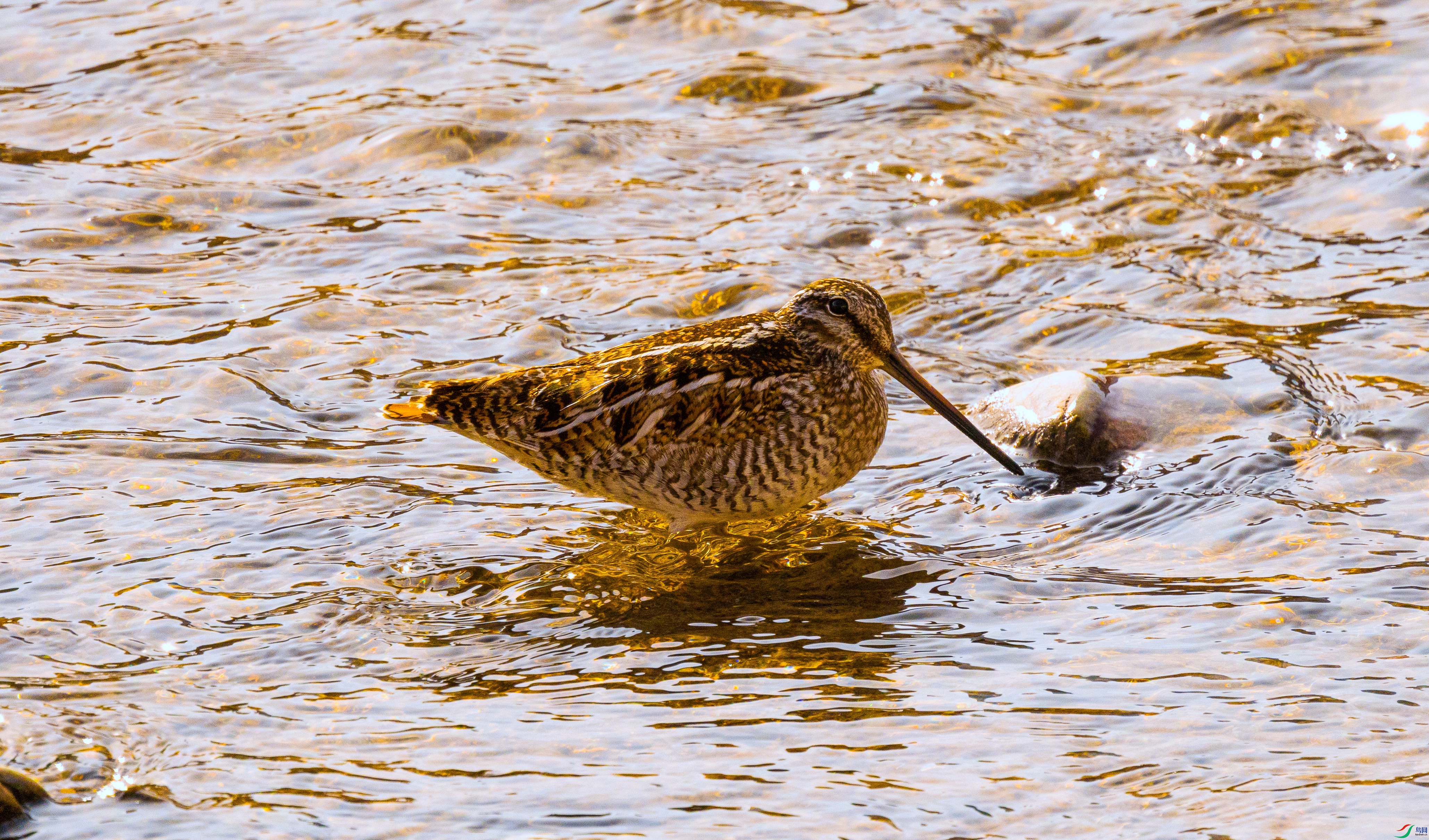 7X5A7034 ���� - ����.jpg