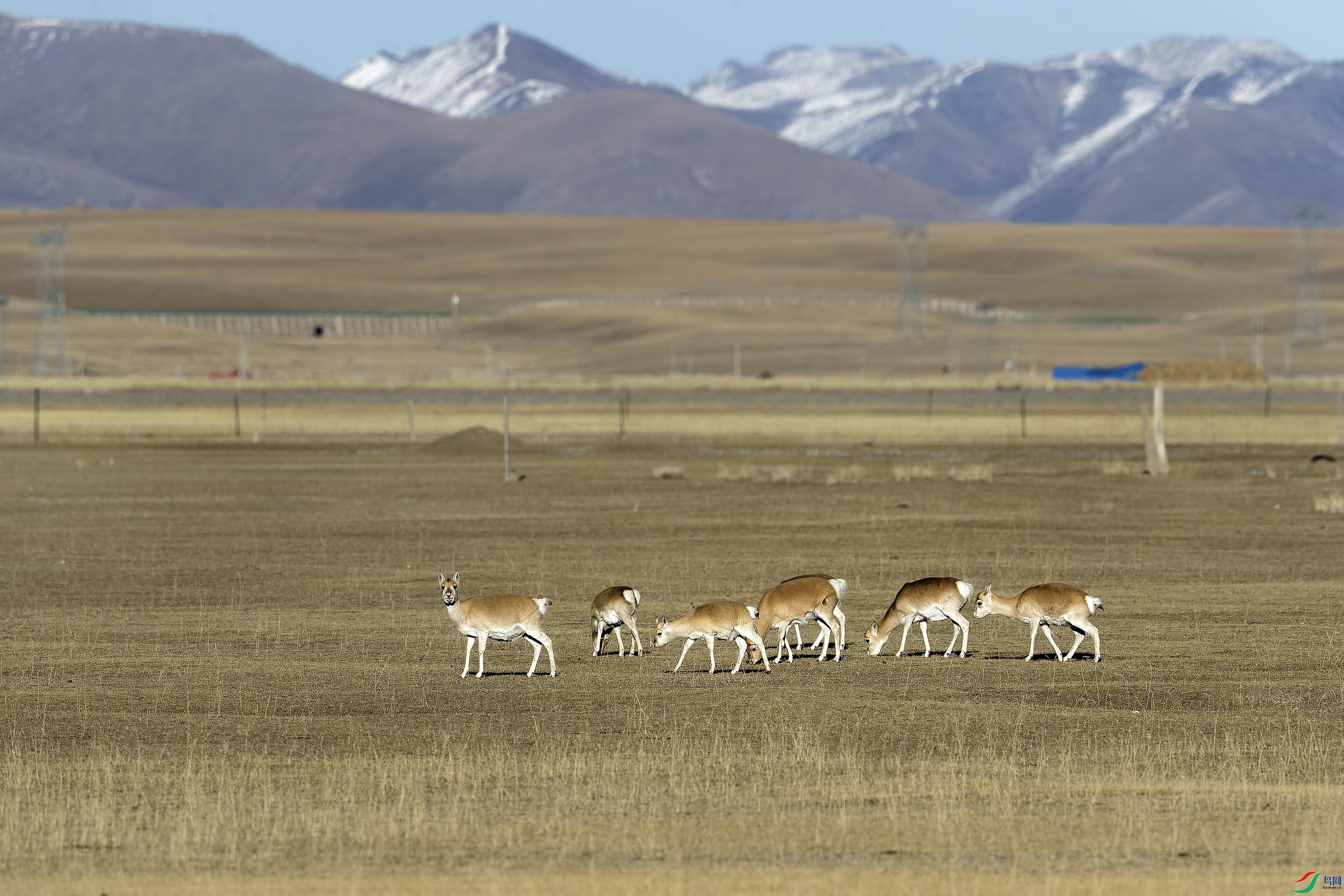 _A4I0247_DxOС ����.jpg