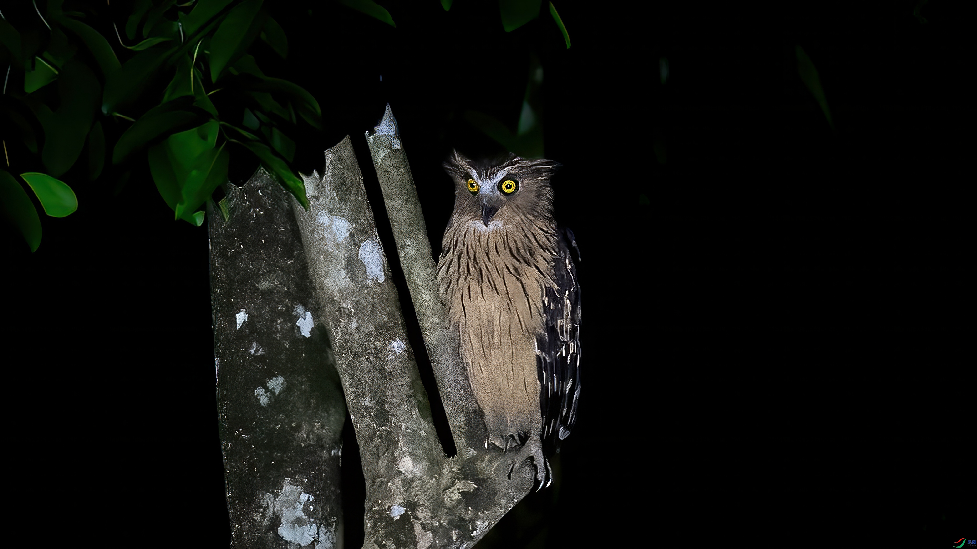 DSC_6857.jpg�������^.jpg2_����-topaz-denoise-sharpen.jpeg