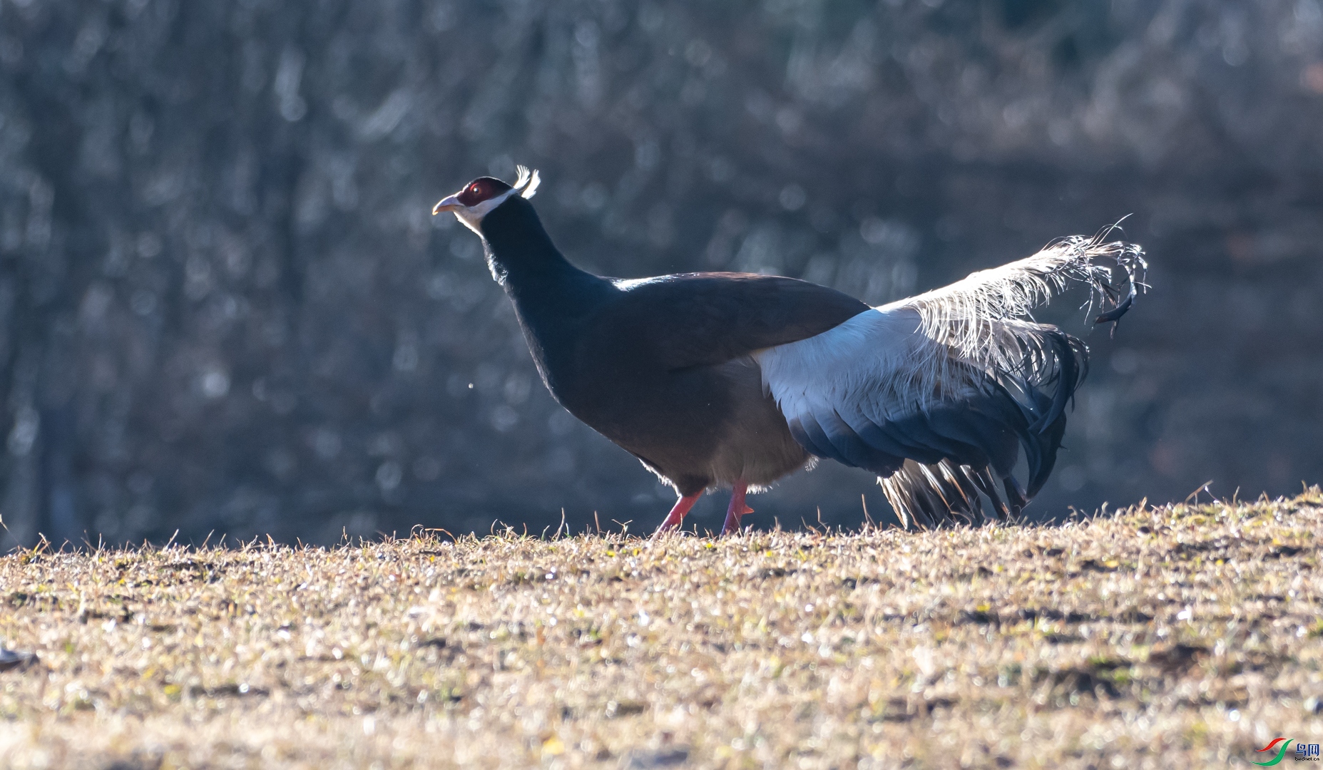 DSC_5047.jpg