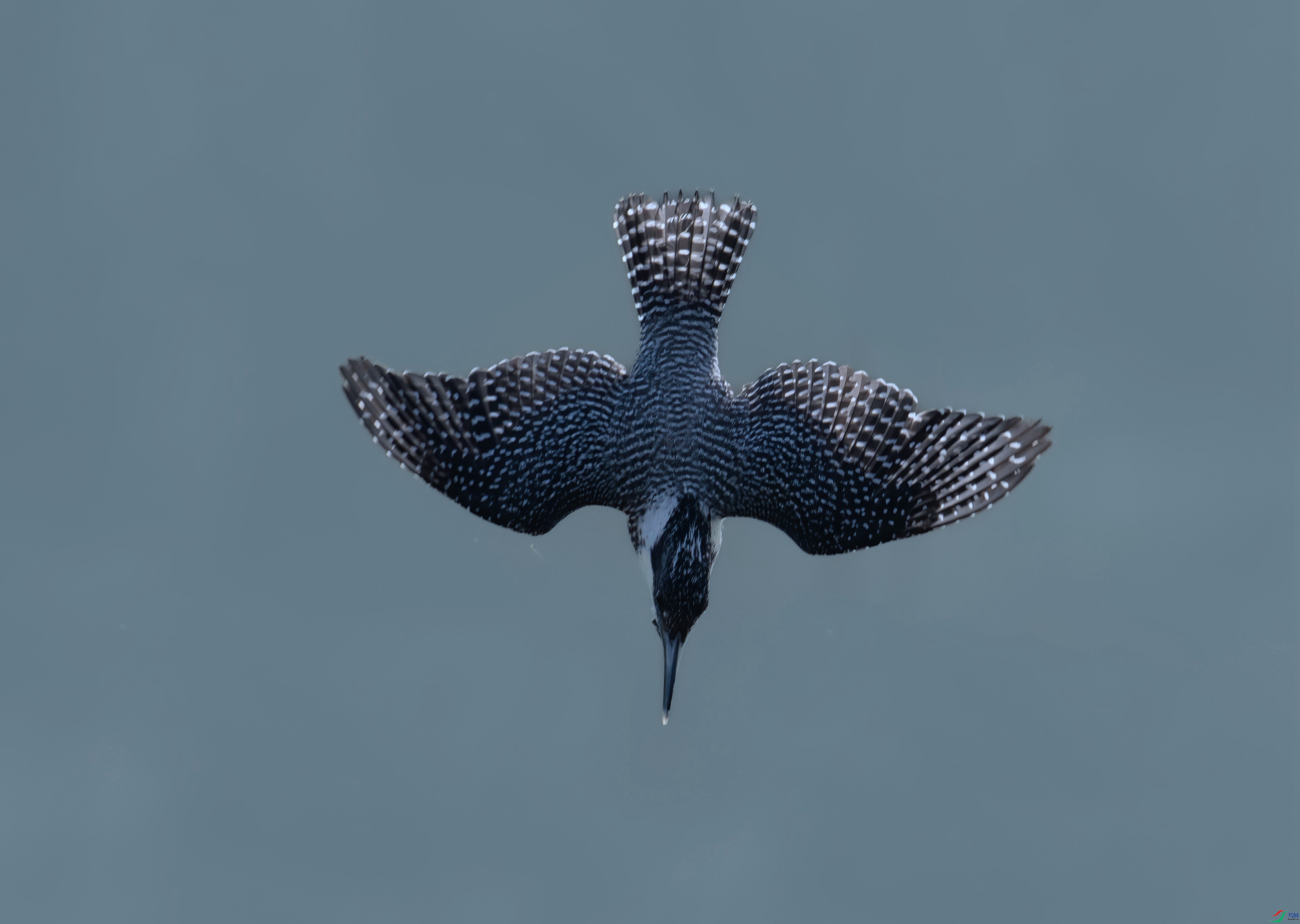 DSC_8188 ���� 2_���� ����_����.jpg