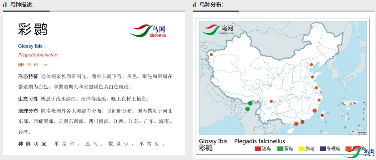 3a3df3e60b239179196b1ebe28a4183.png