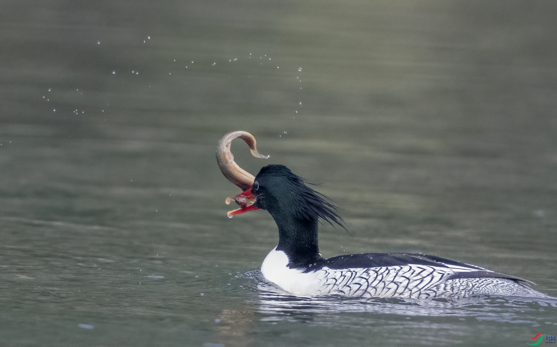 DSC_5070-3.jpg