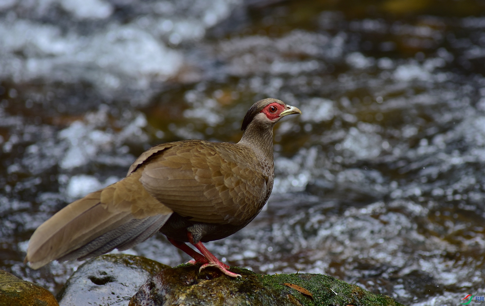 D8I_0762.jpg