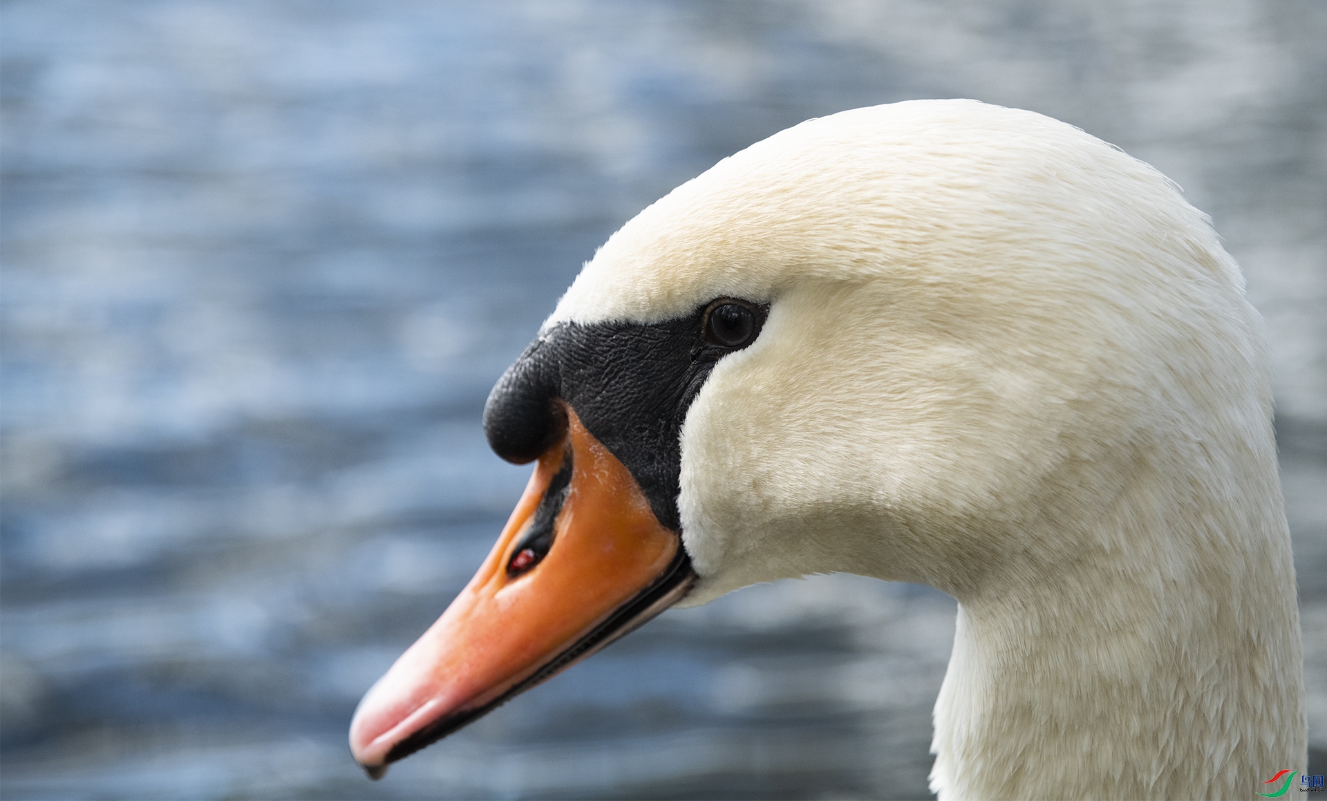 XQD_0265 ������.jpg