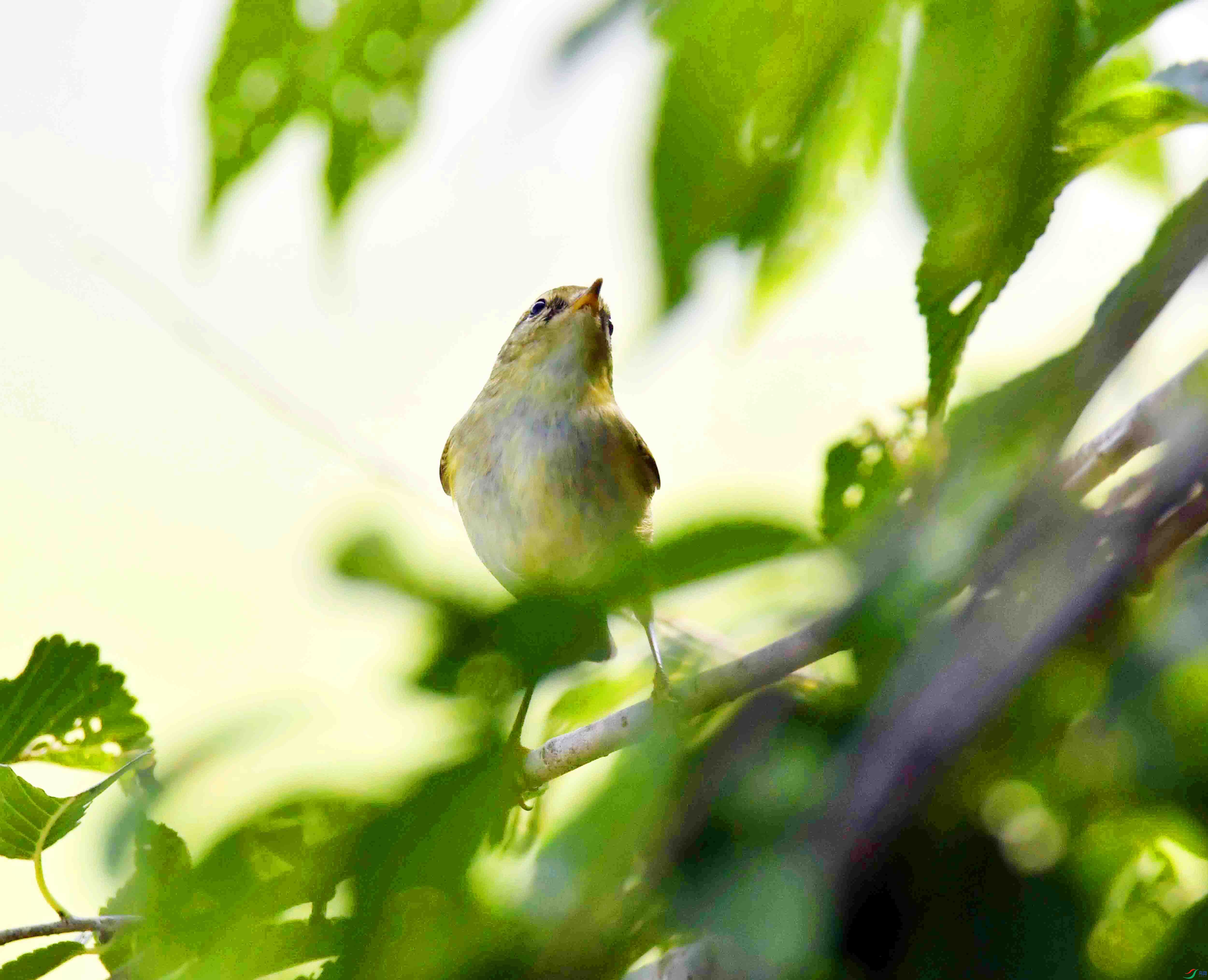 DSC_3198.JPG