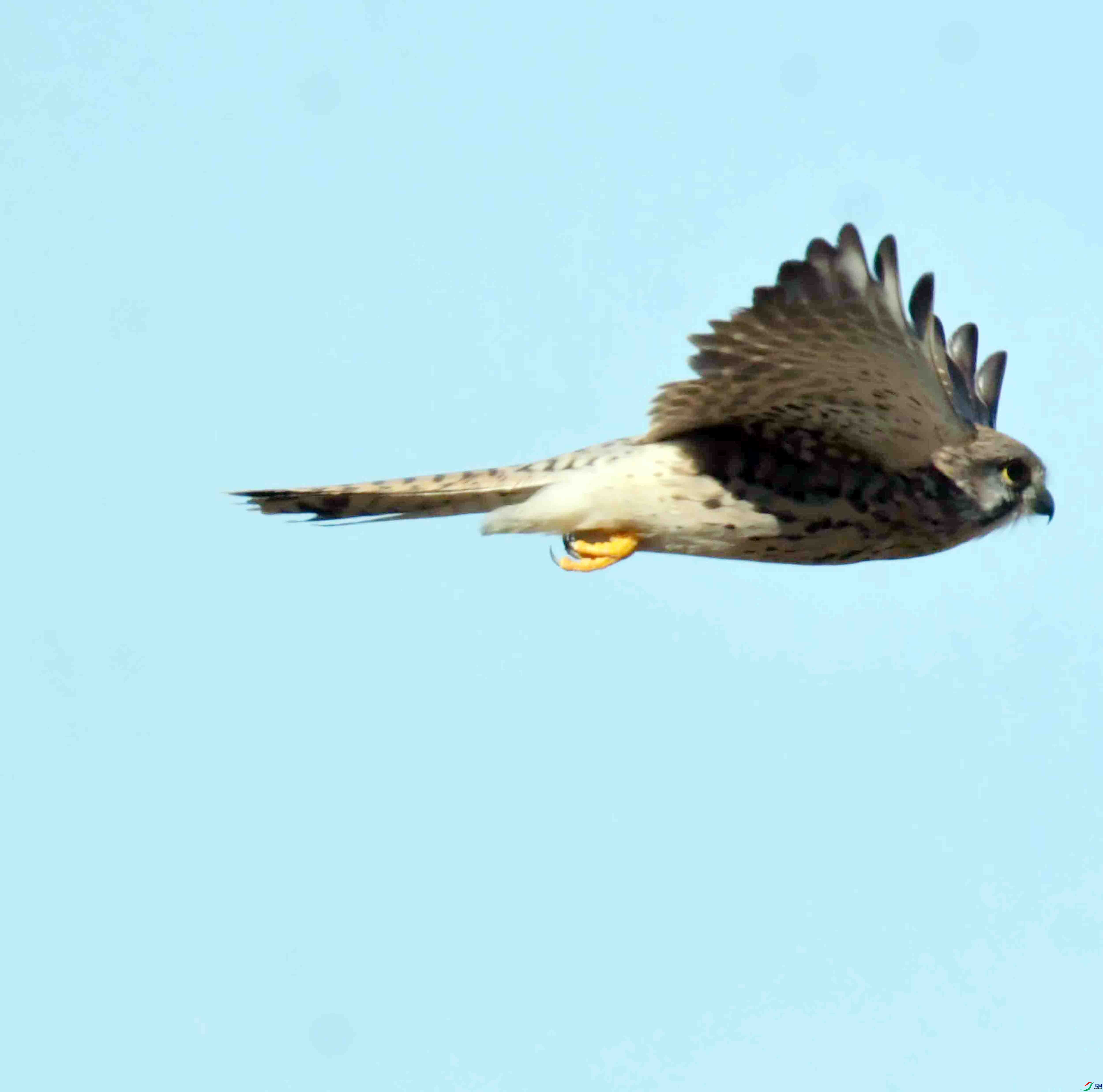 DSC_3160.JPG