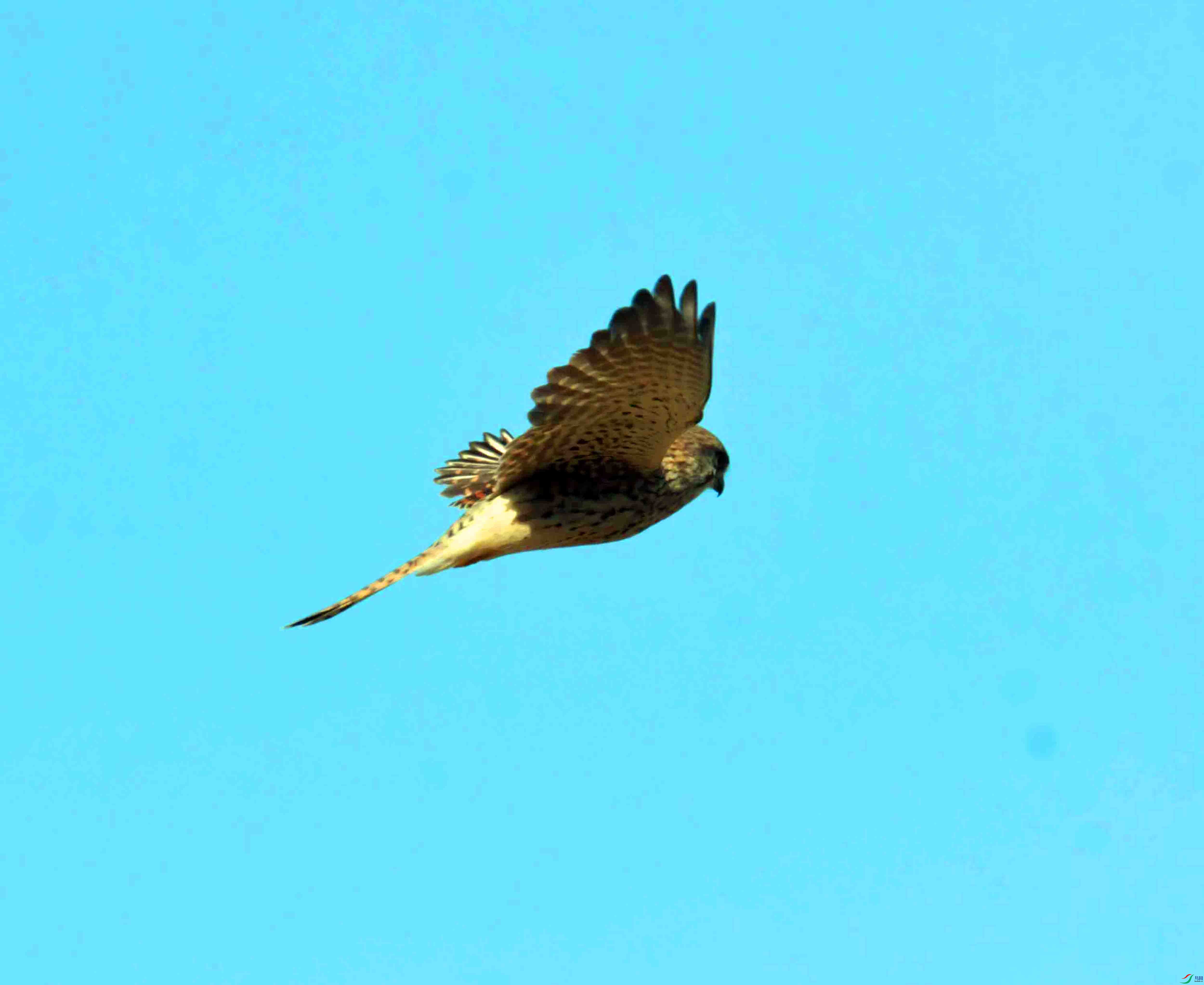 DSC_3164.JPG