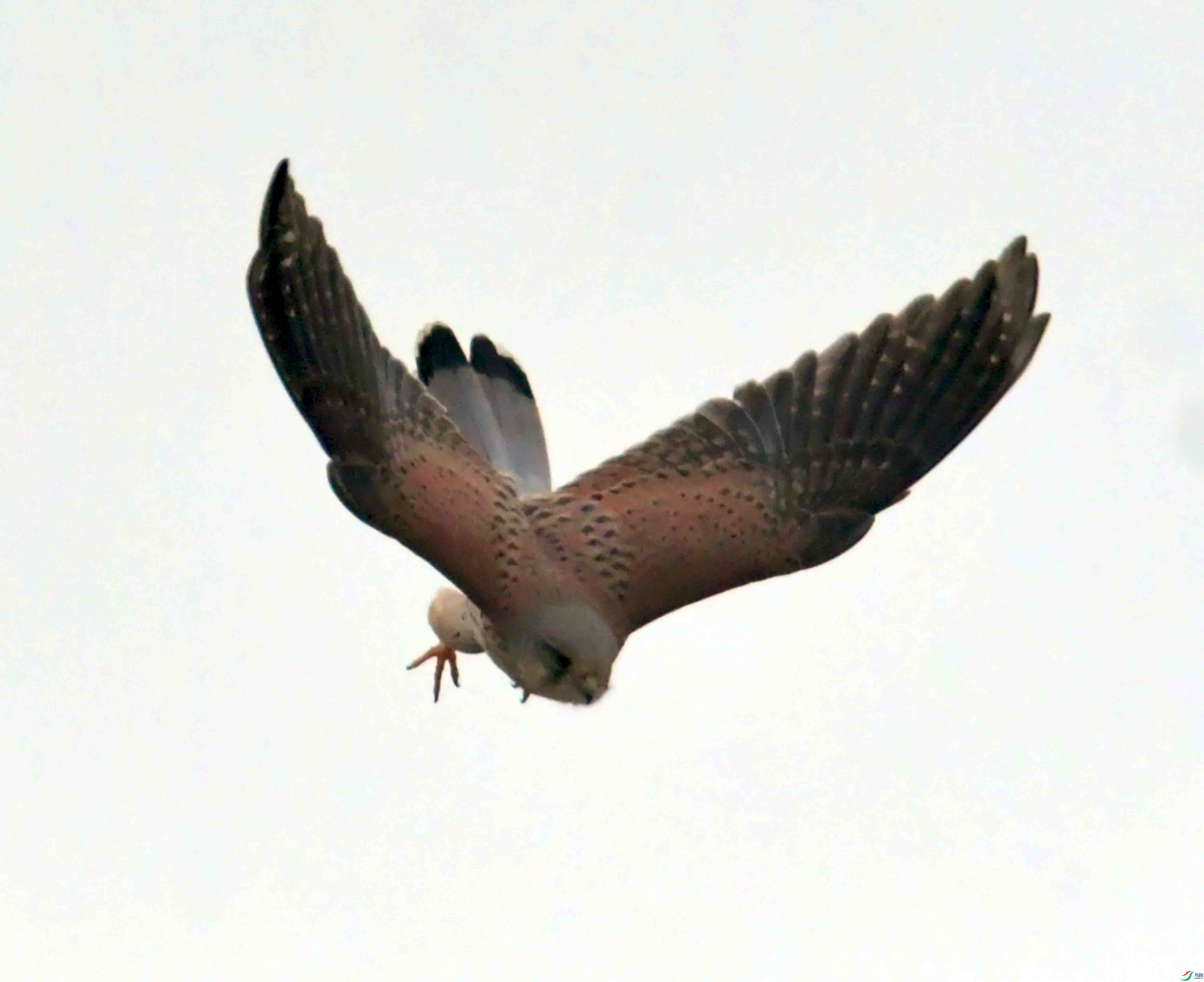 DSC_5791.JPG