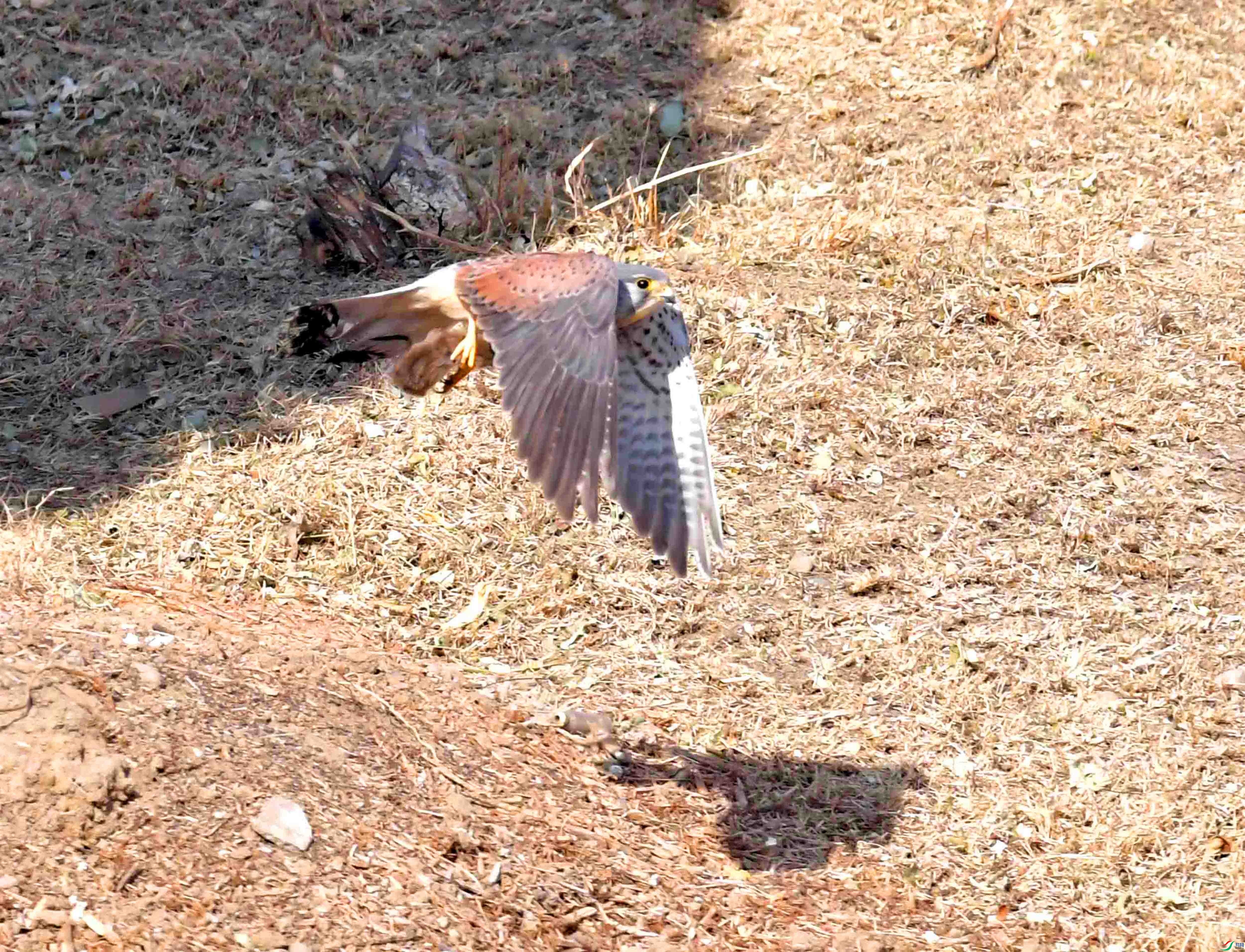 DSC_5839.JPG