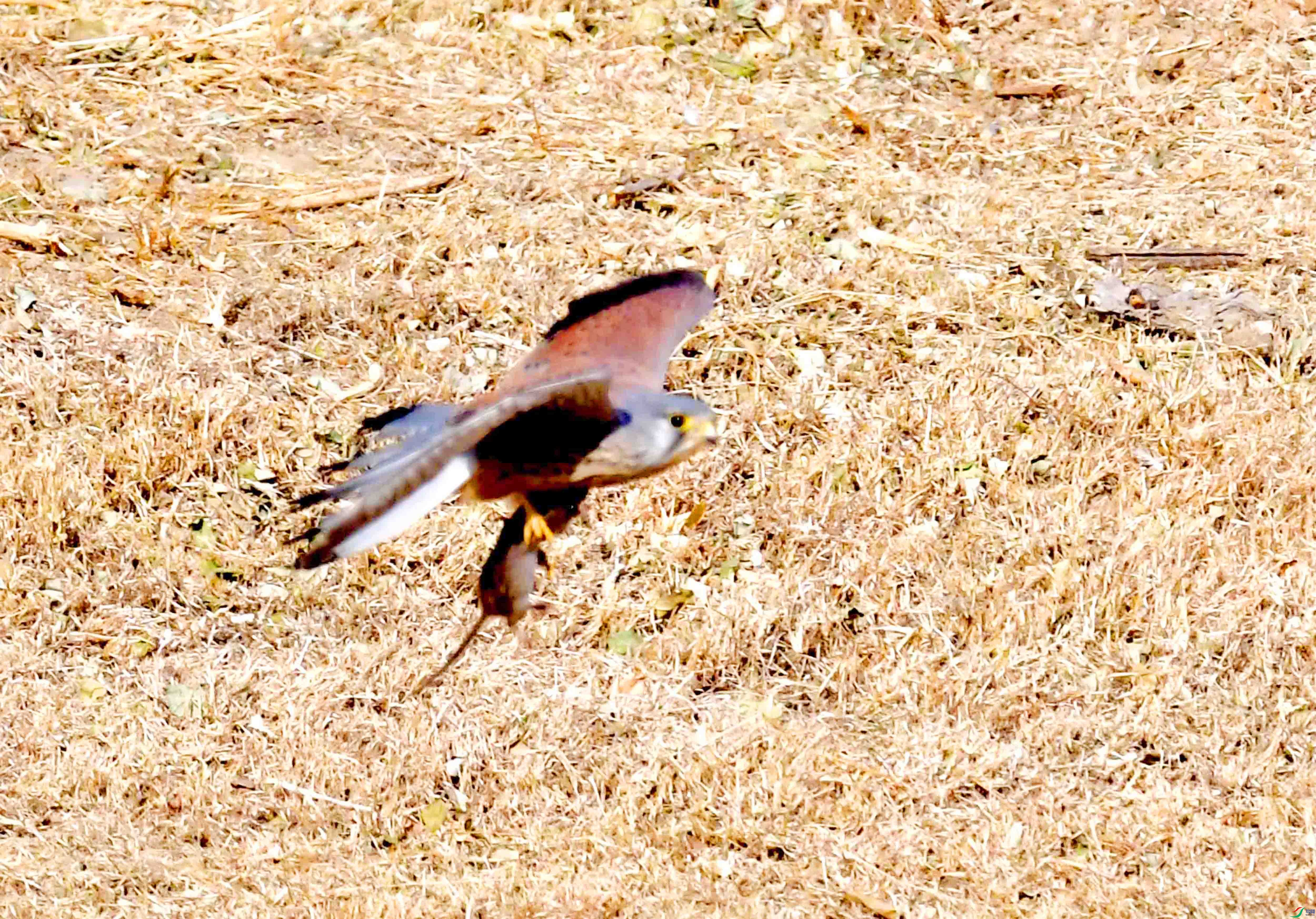 DSC_5842.JPG