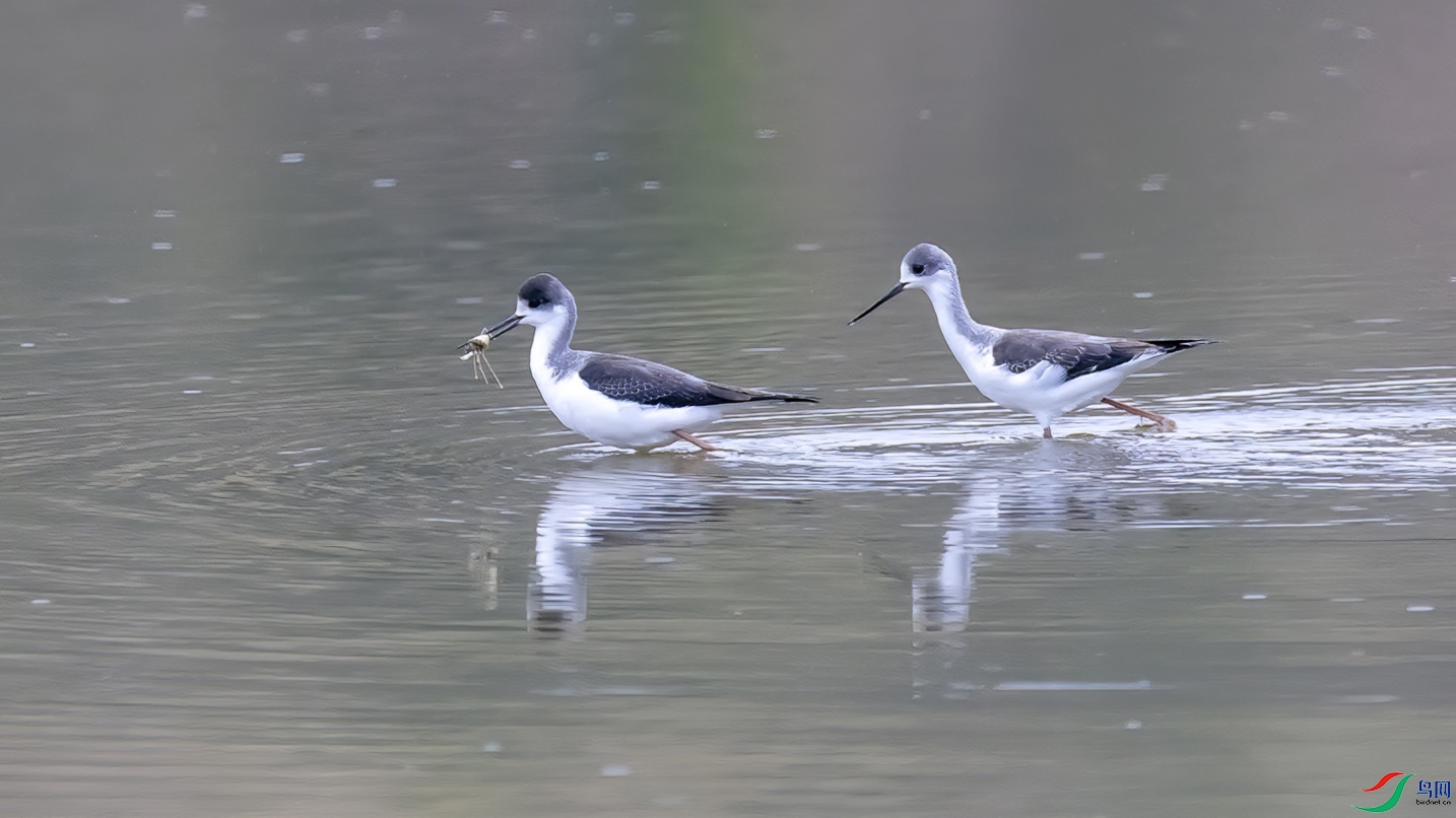 ���ݳ��� ��(1).jpg