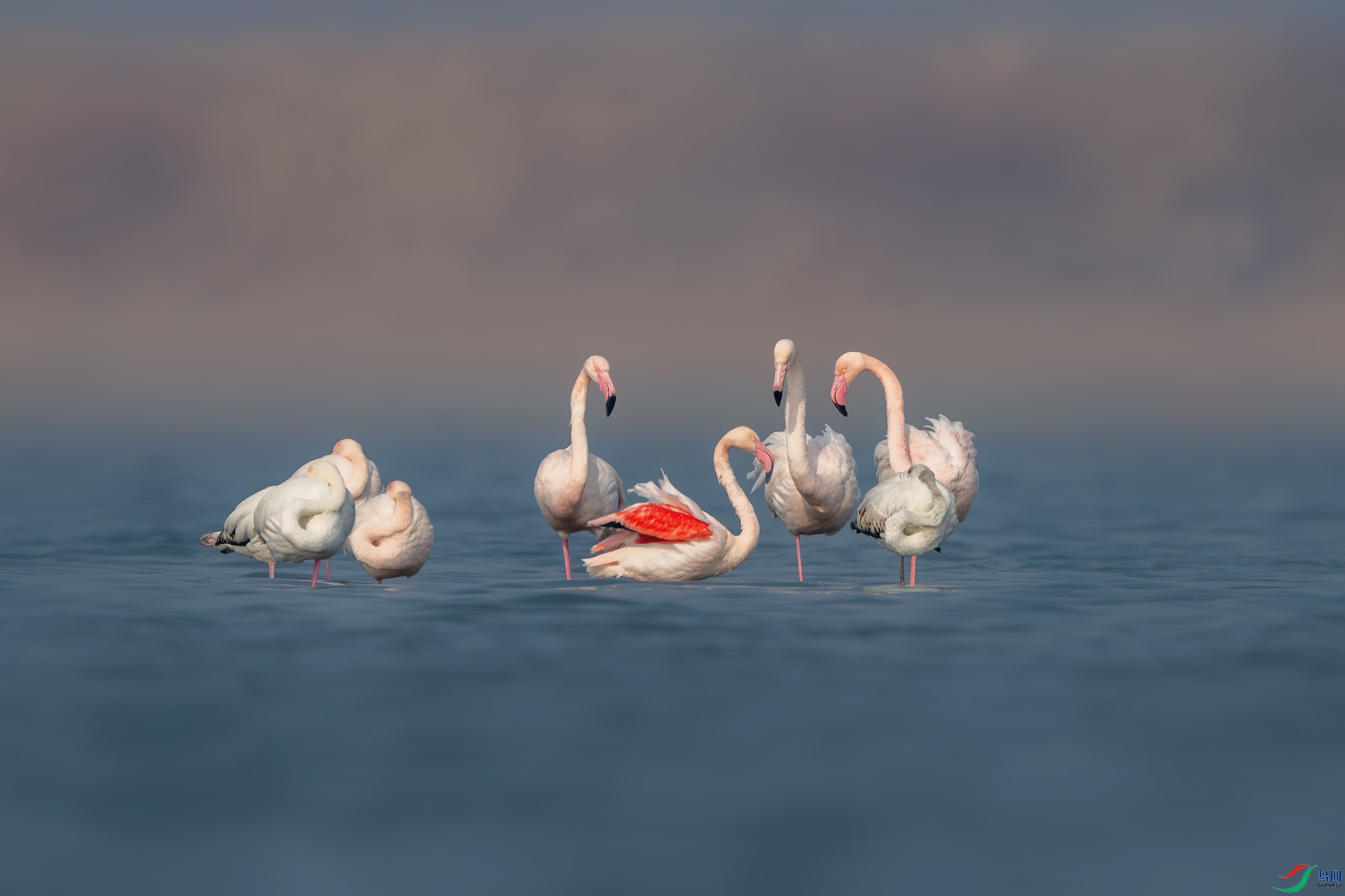 _DSC5905-����ǿ-NR ����.jpg