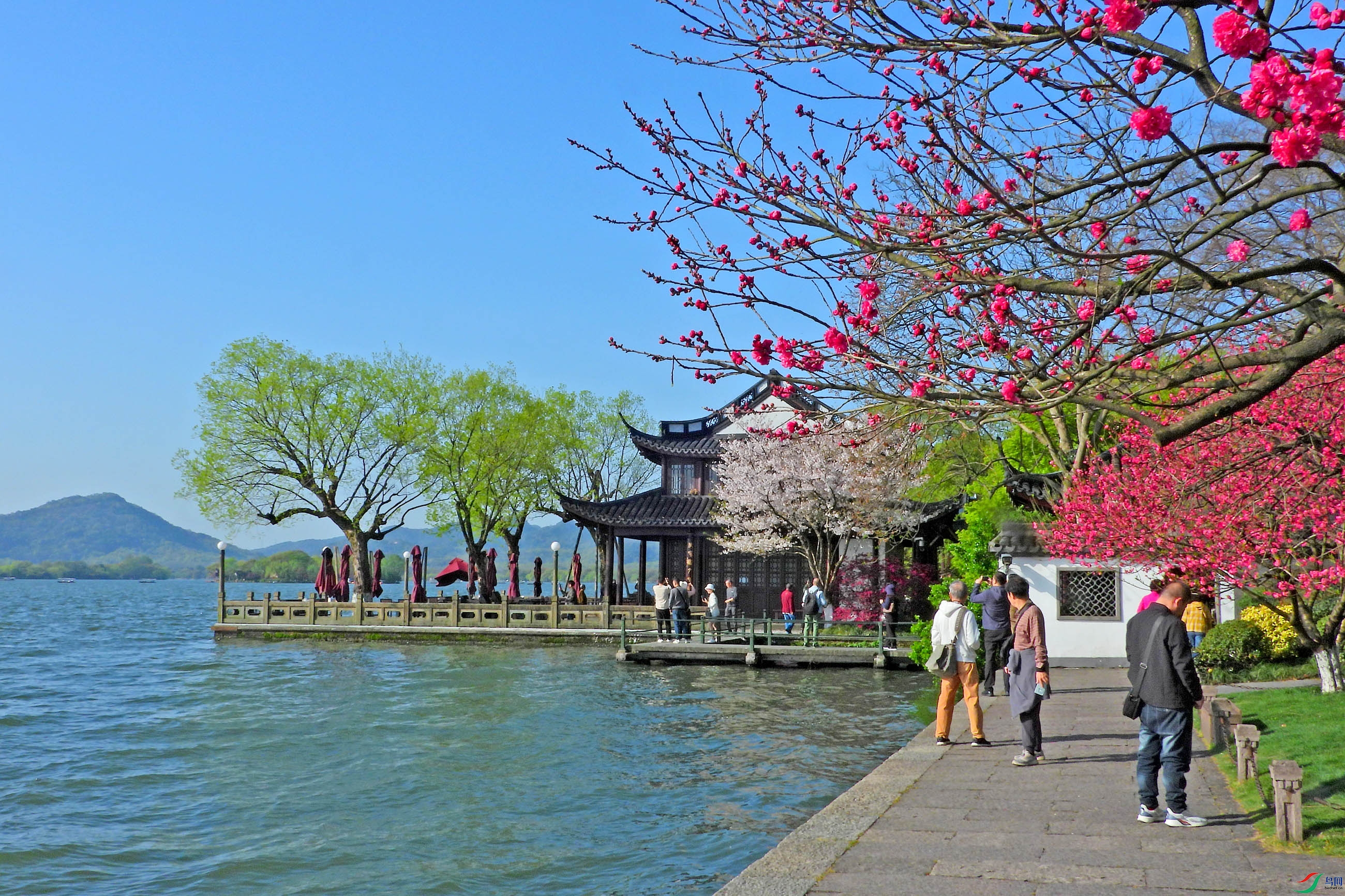 DSCN3009.JPG