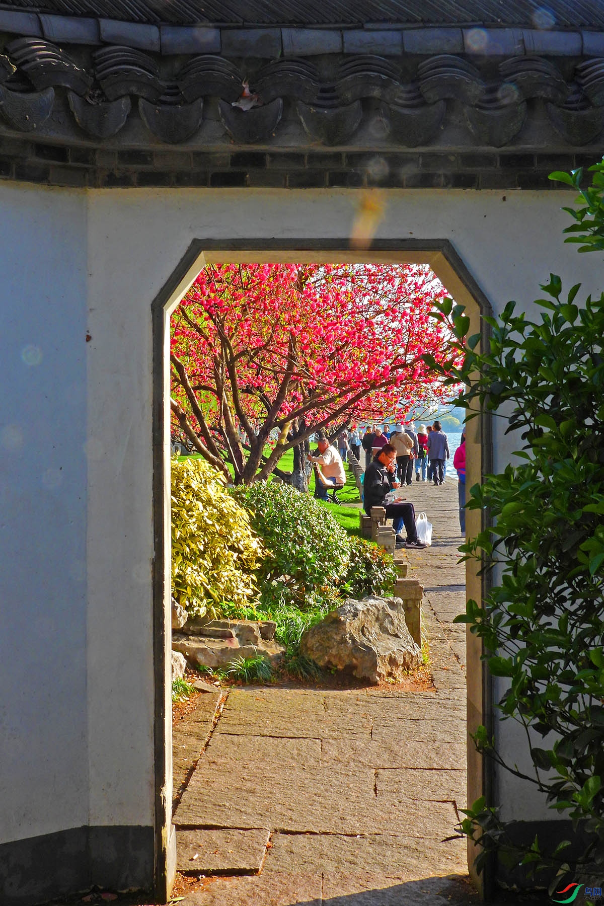 DSCN2984.JPG