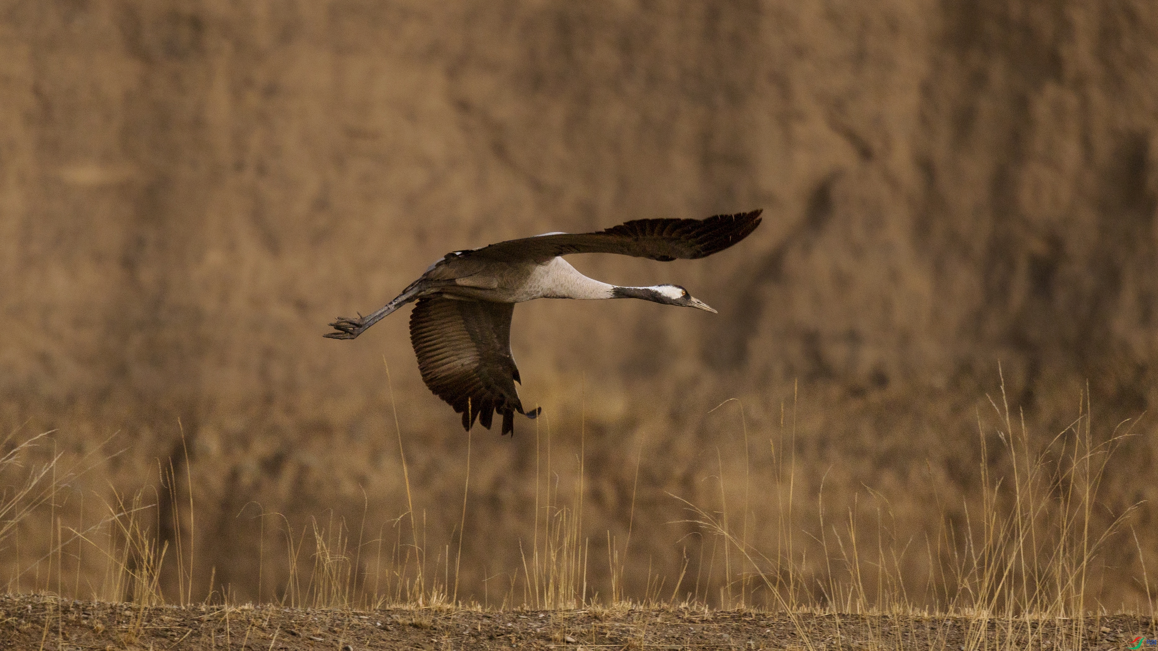 7X5A6351 ����.jpg