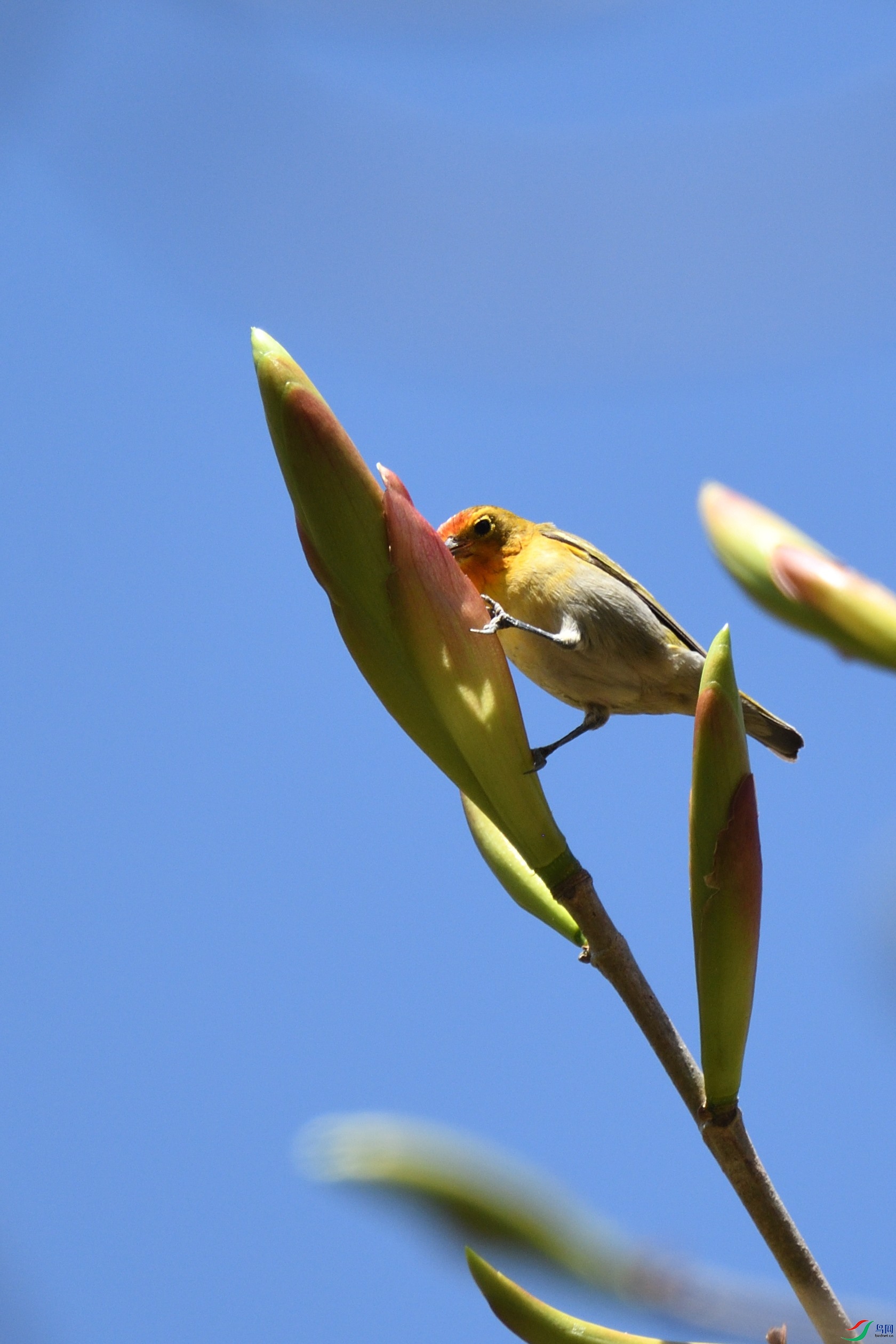 DSC_4000_00002.jpg