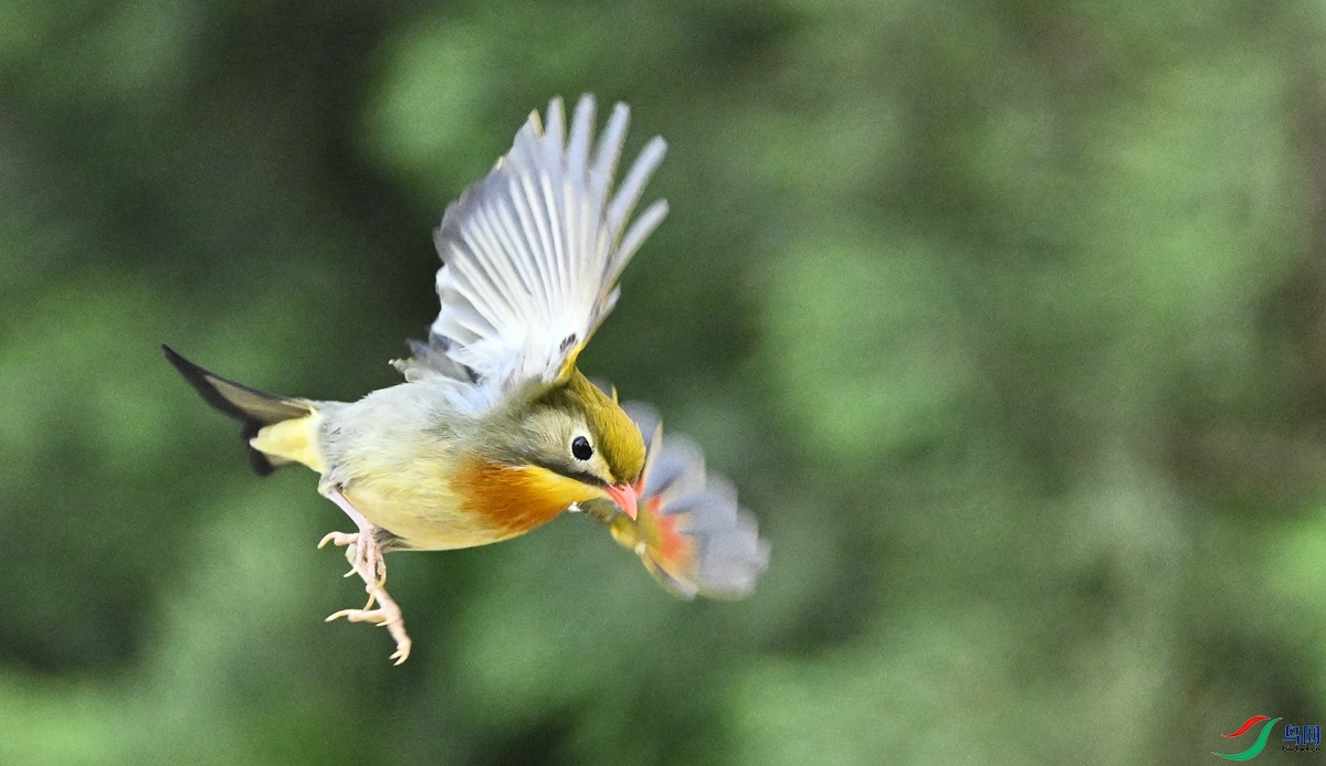 DSC_2794.JPG