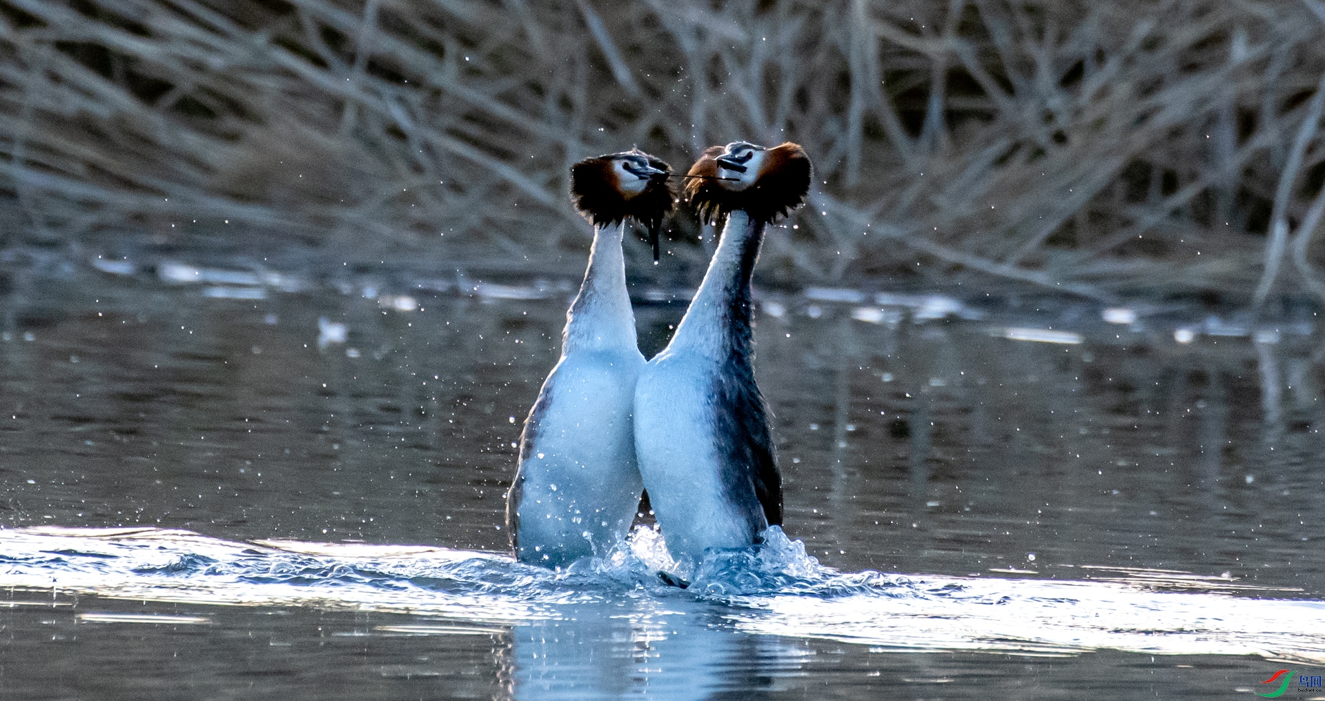 DSC_8892.jpg