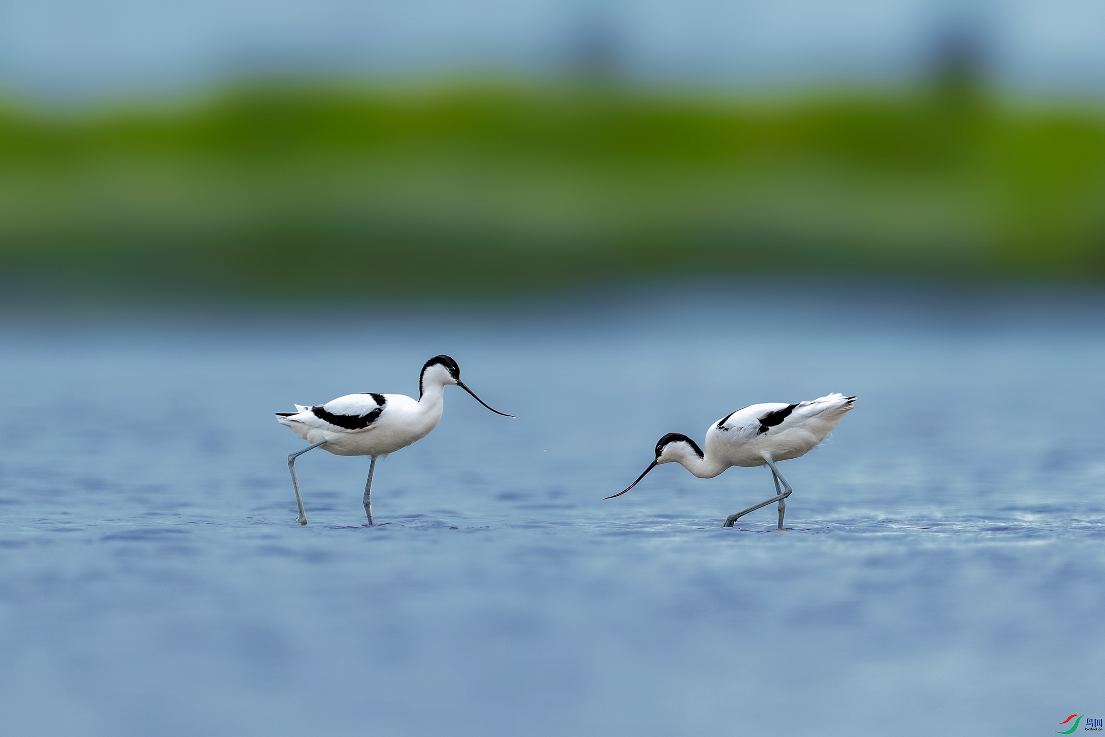 BE5I2665-����ǿ-NR ����.jpg