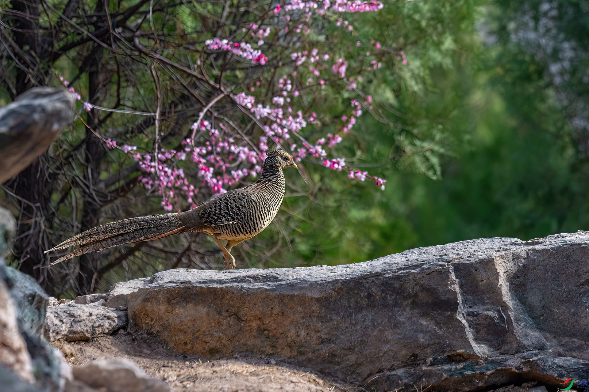 DSC_0073.jpg