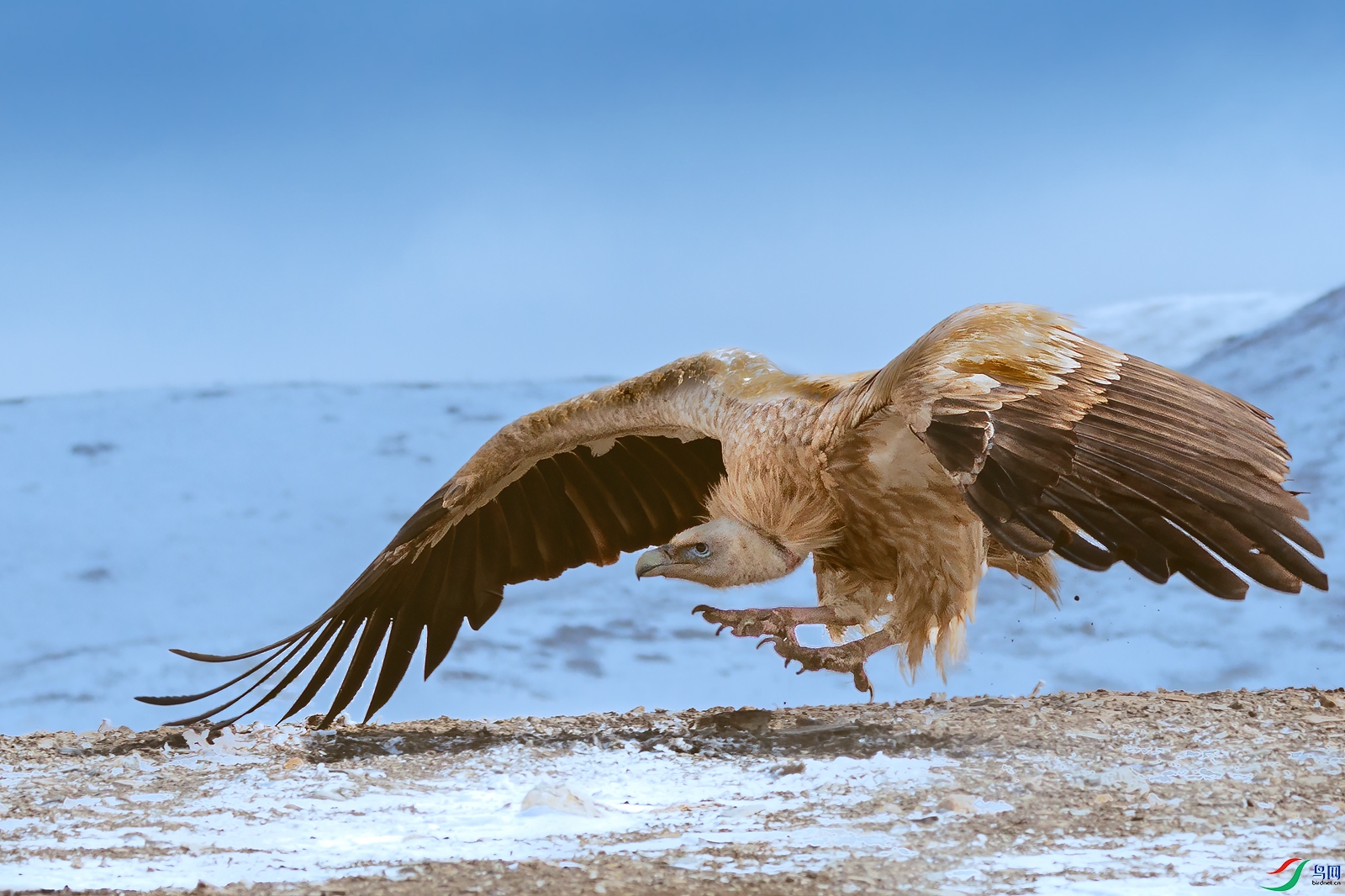 ��ɽأ��1M5A0831.jpg