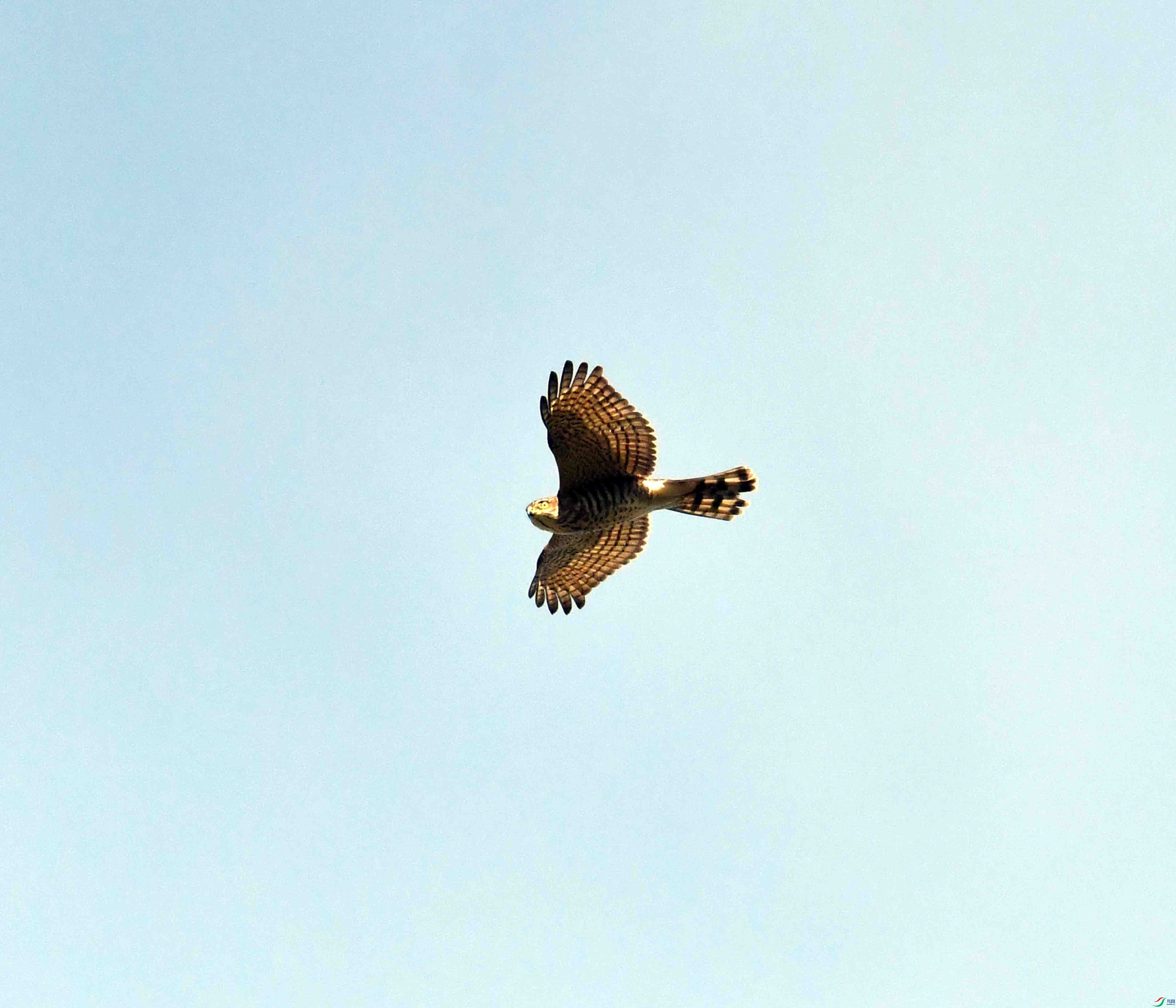 DSC_0782.JPG