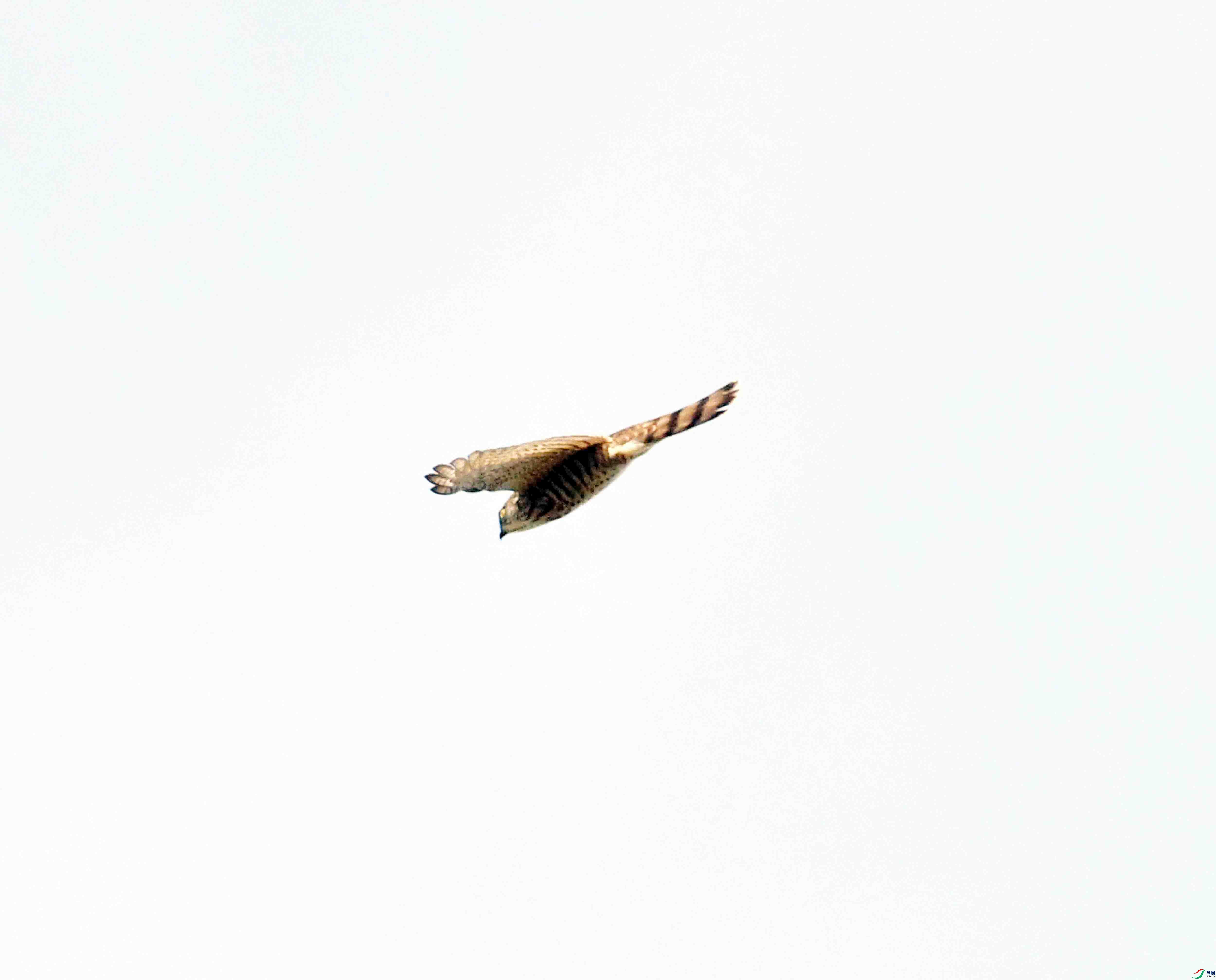 DSC_0781.JPG