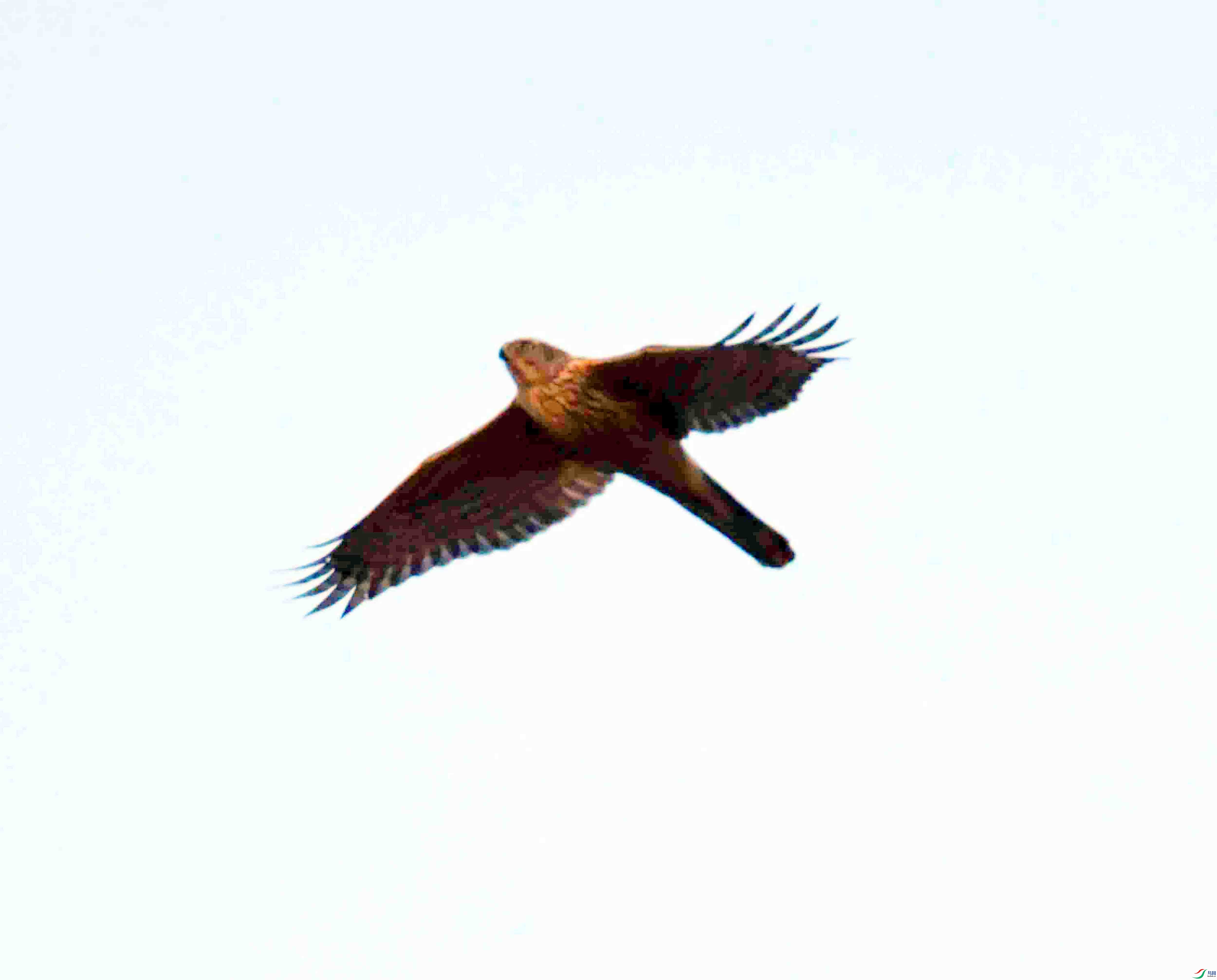 DSC_6330.JPG