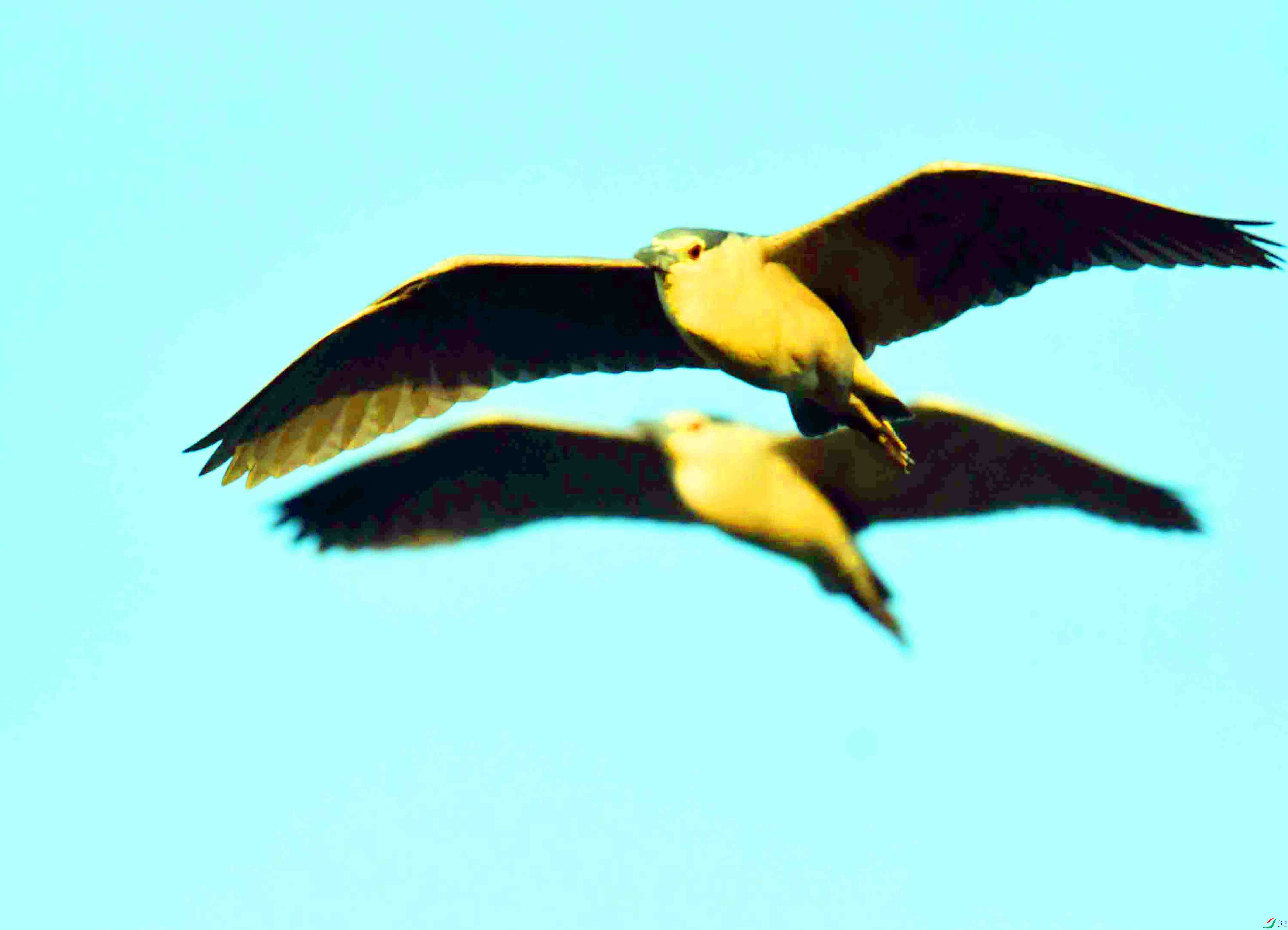 DSC_7260.JPG