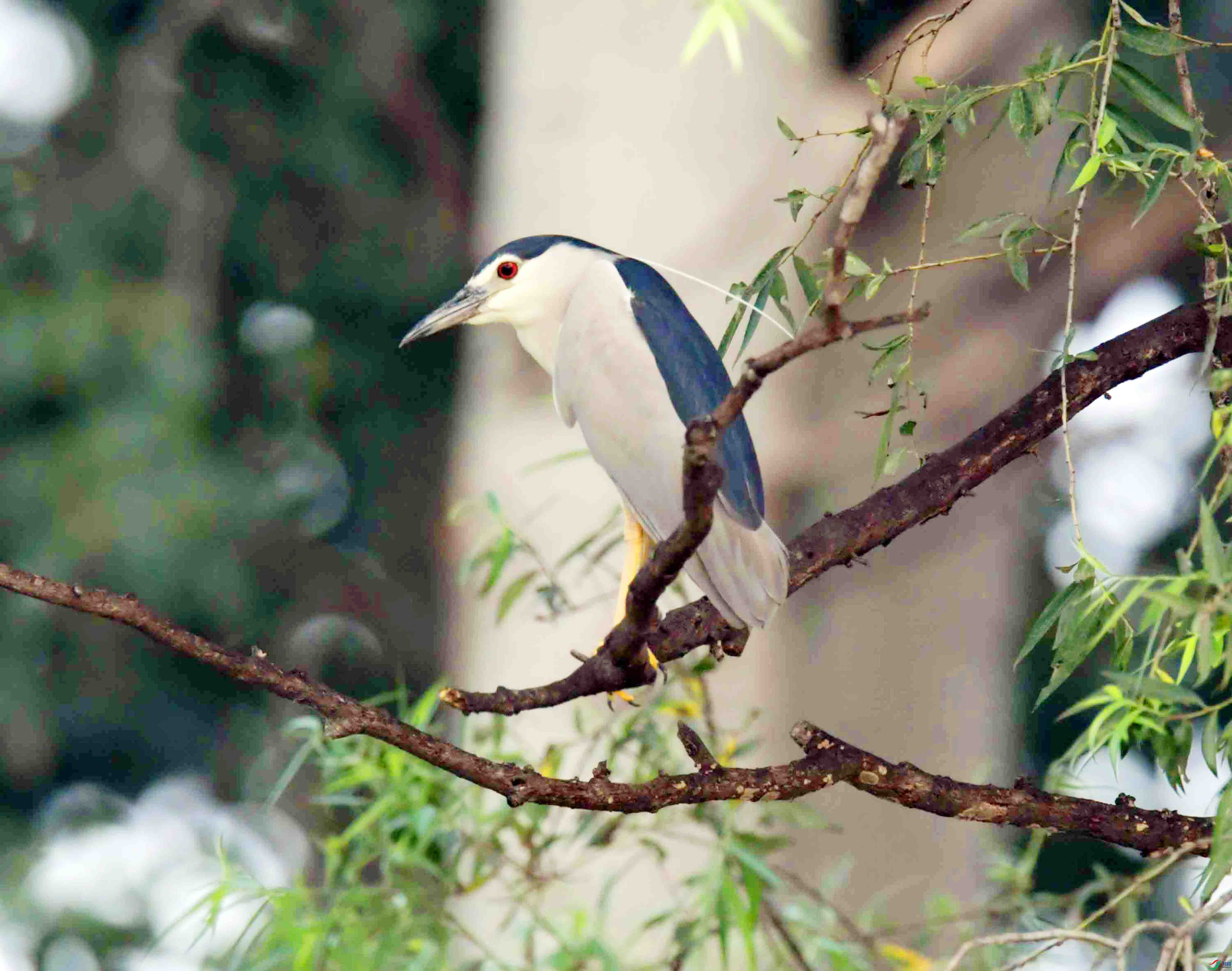DSC_8862.JPG