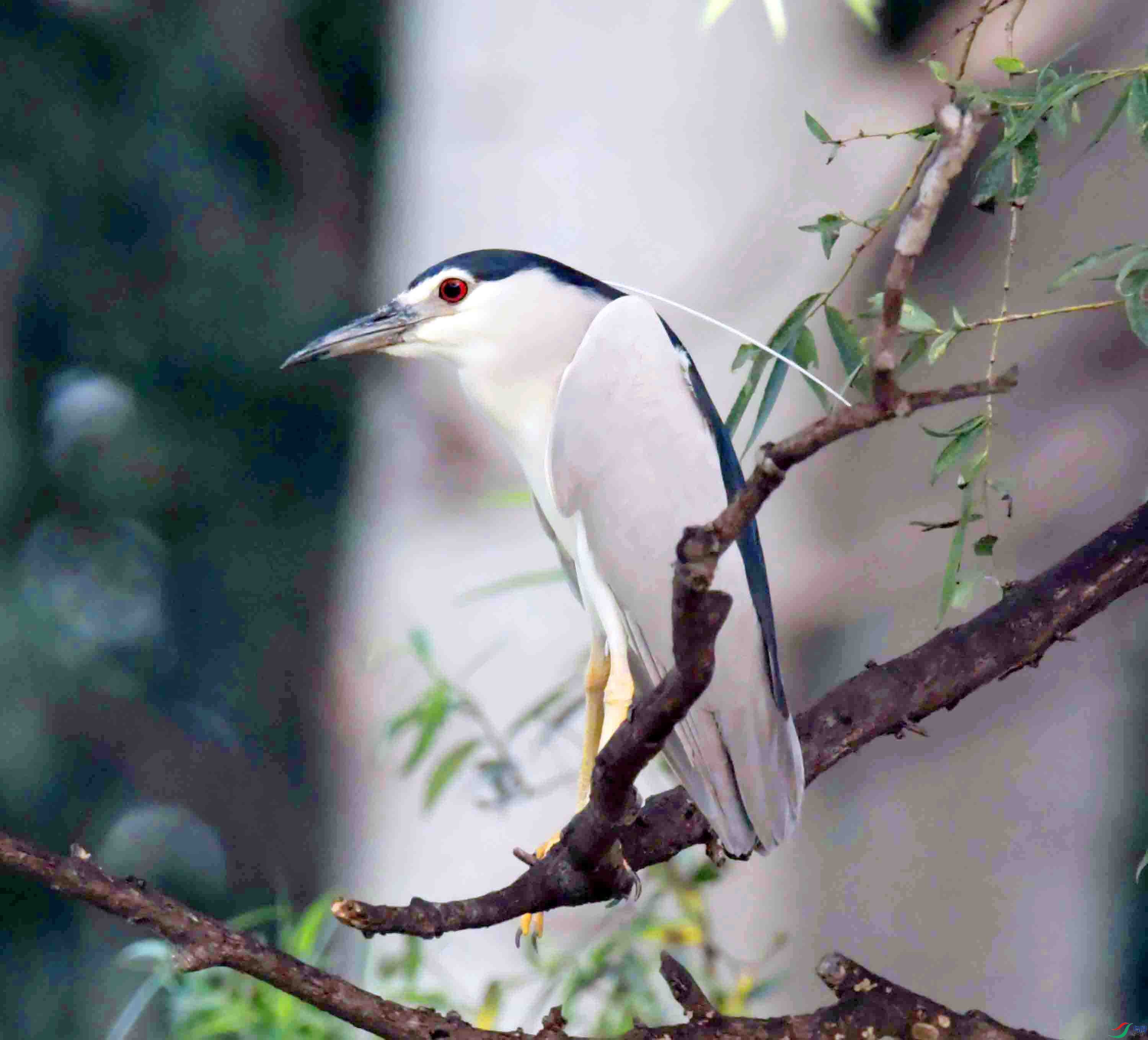 DSC_8858.JPG