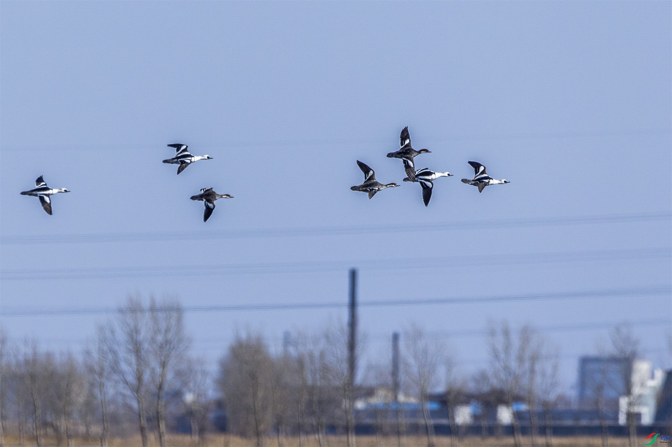 1K3A0110 ����1.jpg