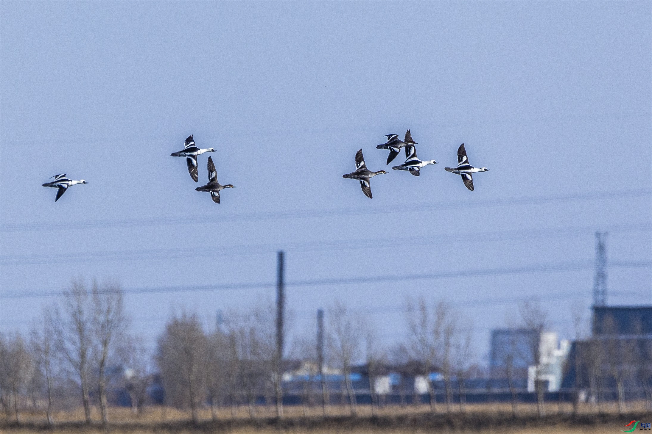 1K3A0111 ����1.jpg