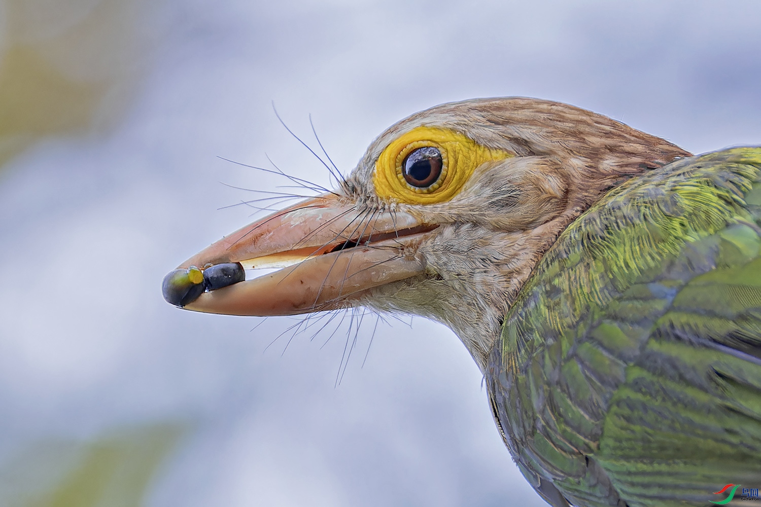 _97A4848-CR3 copy.jpg