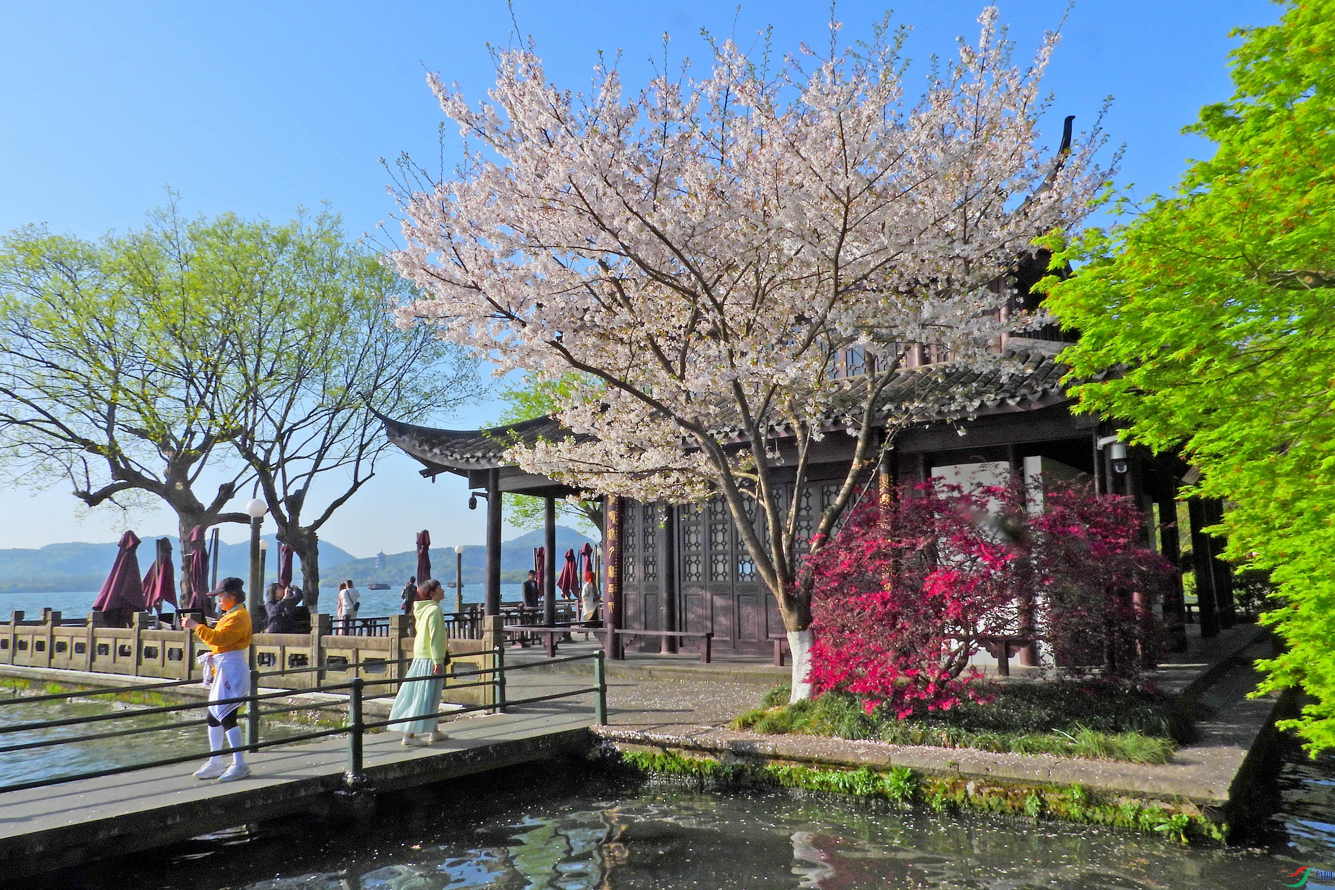 DSCN2986.JPG