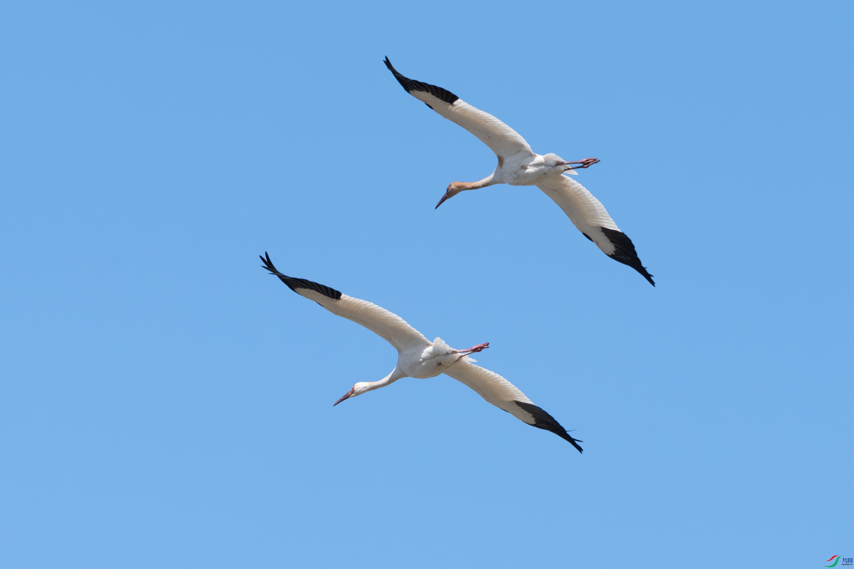 DSC_9220.jpg